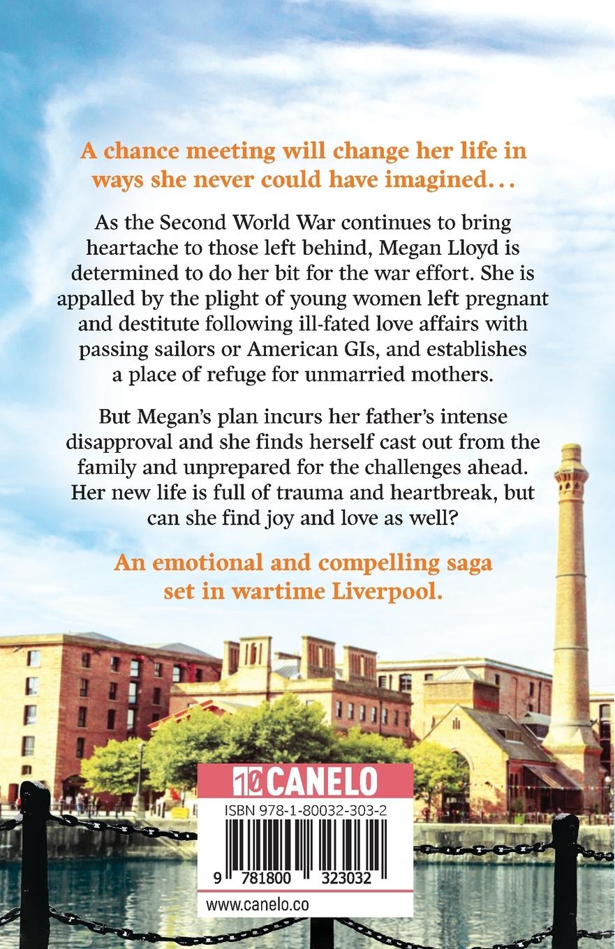 Rückseitencover Chance Encounters