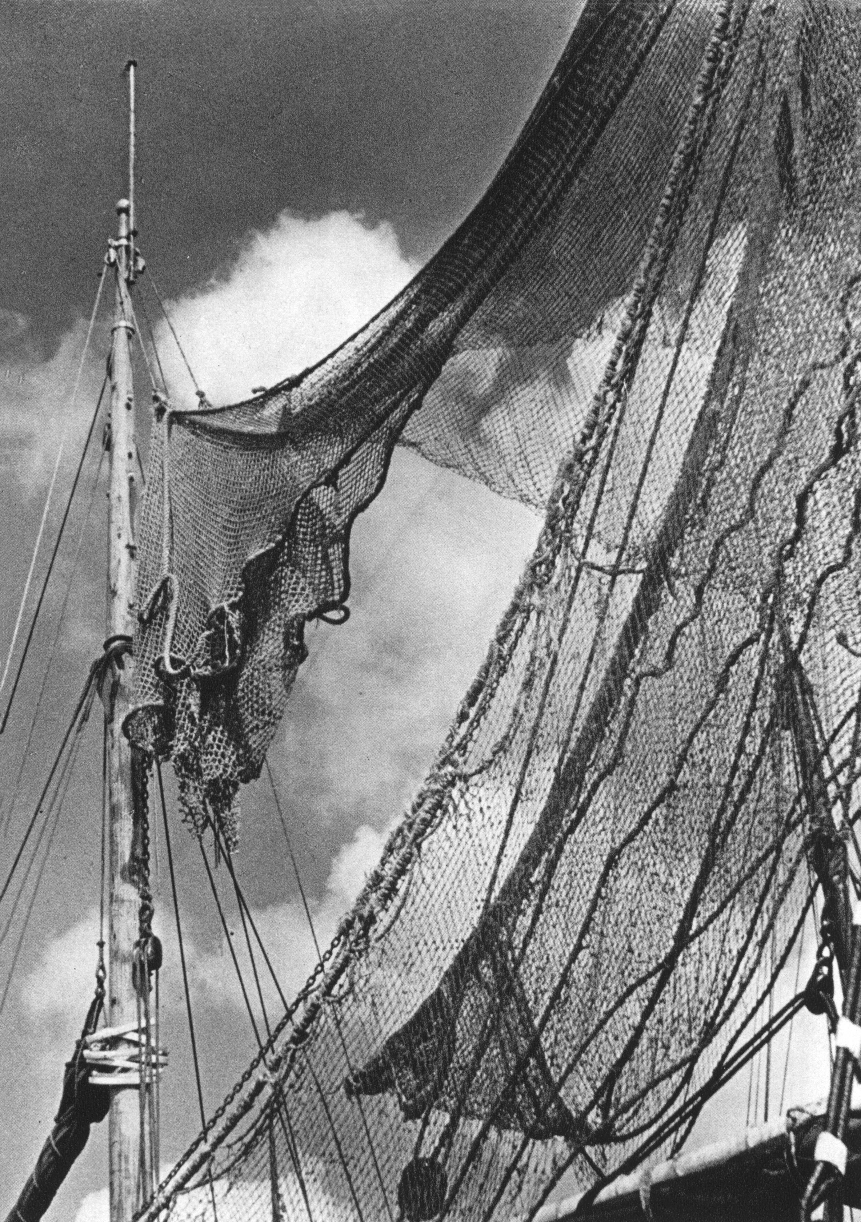 Beispielinhalt (Bild) Historische Ansichten von Finkenwerder