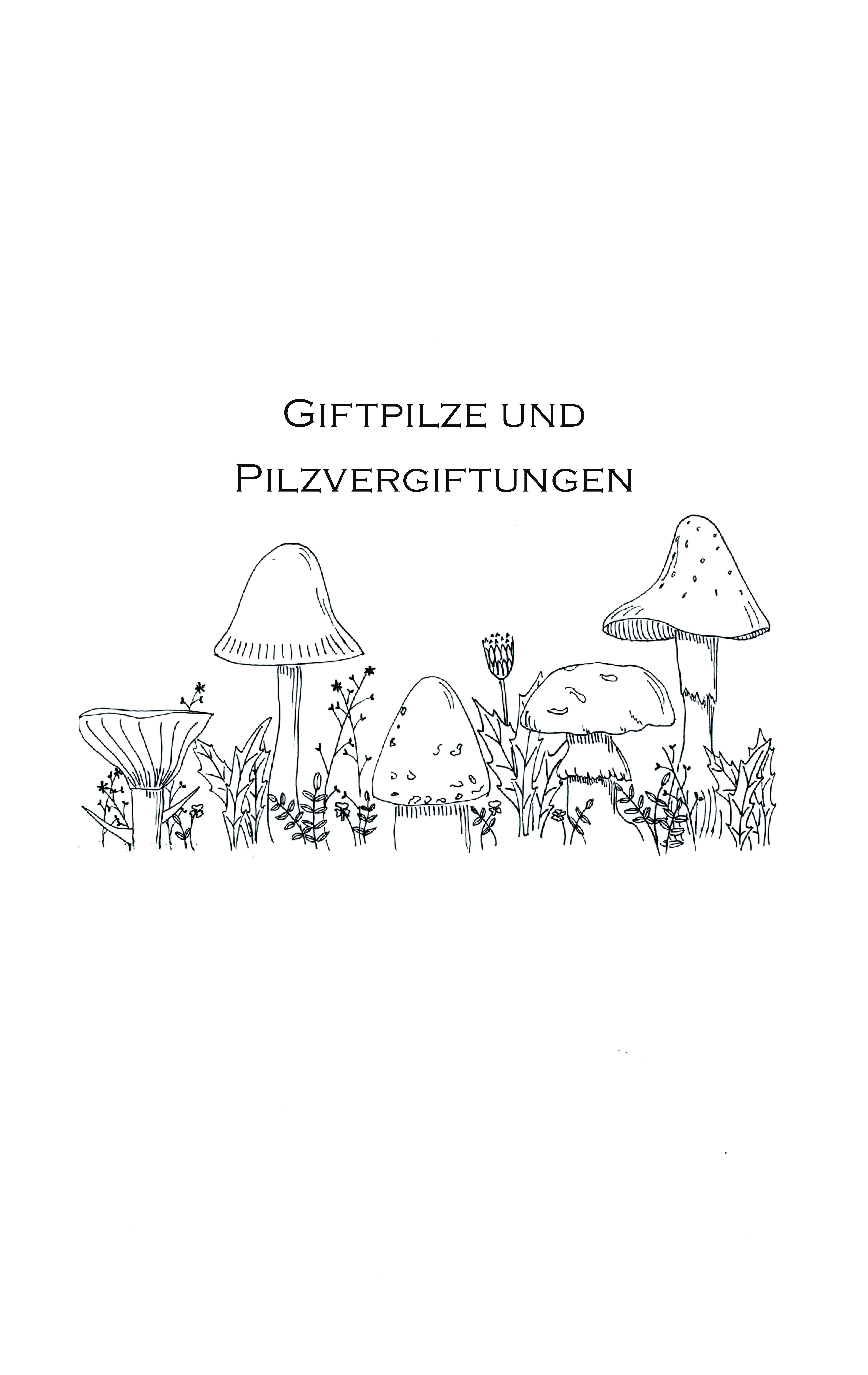 Beispielinhalt (Bild) Pilzkochbuch von 1917