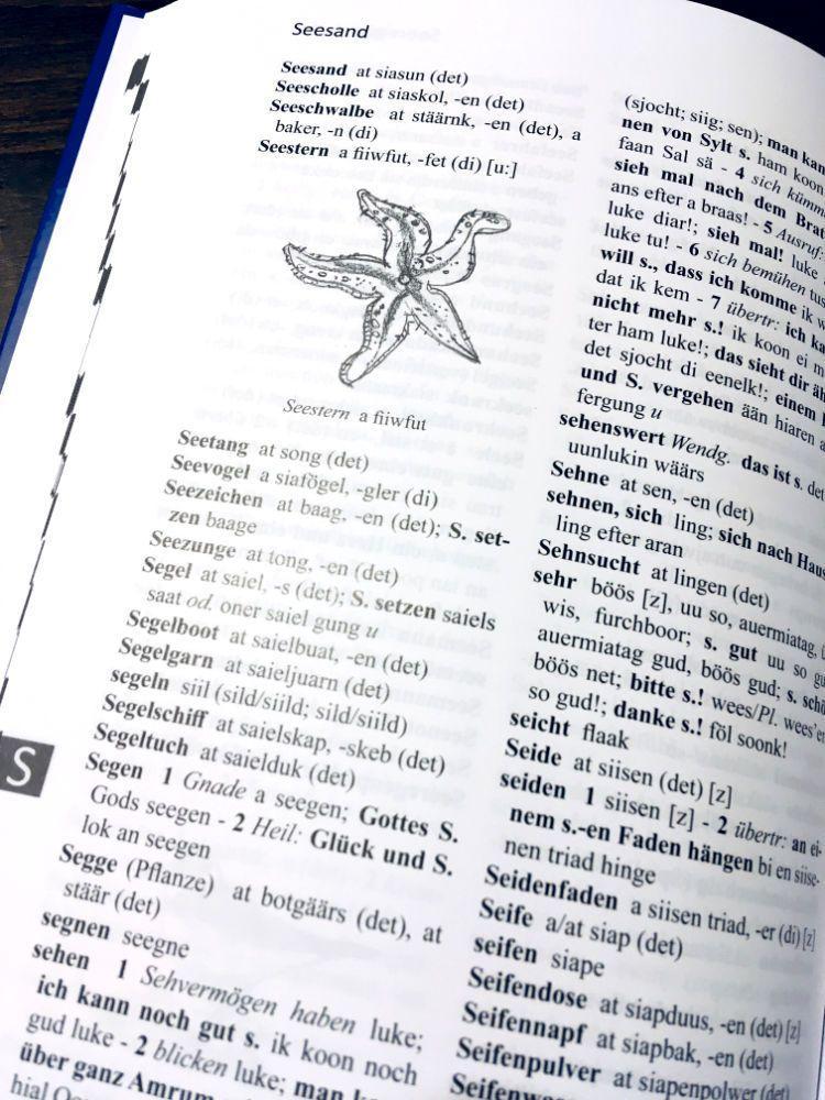 Beispielinhalt (Bild) Wörterbuch Deutsch - Amrumer Friesisch / wurdenbuk sjiisk - öömrang