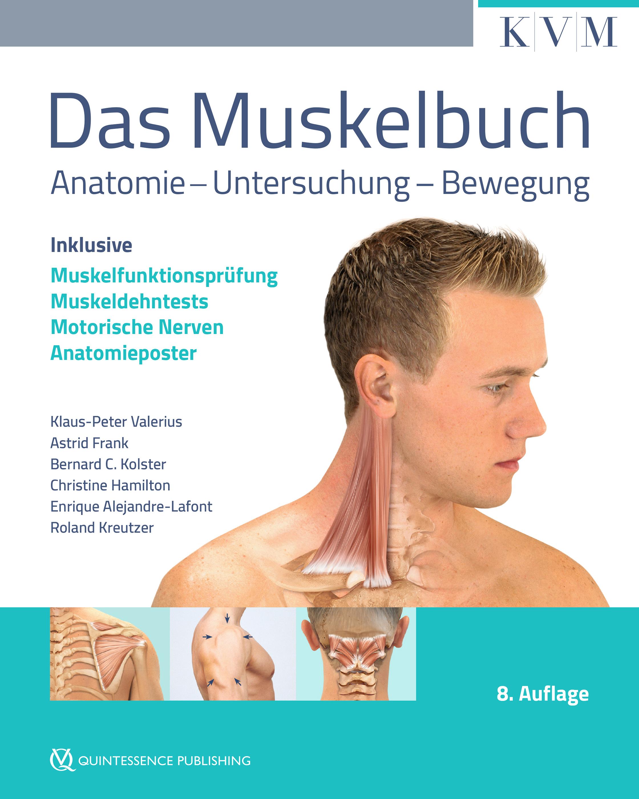 Vorderes Coverbild Das Muskelbuch