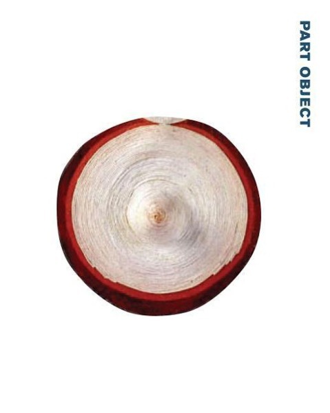 Vorderes Coverbild Part Object Part Sculpture