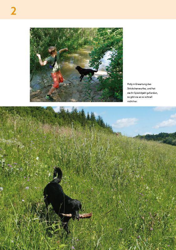 Beispielinhalt (Bild) Die schönsten Wanderungen mit Hunden im Großraum München