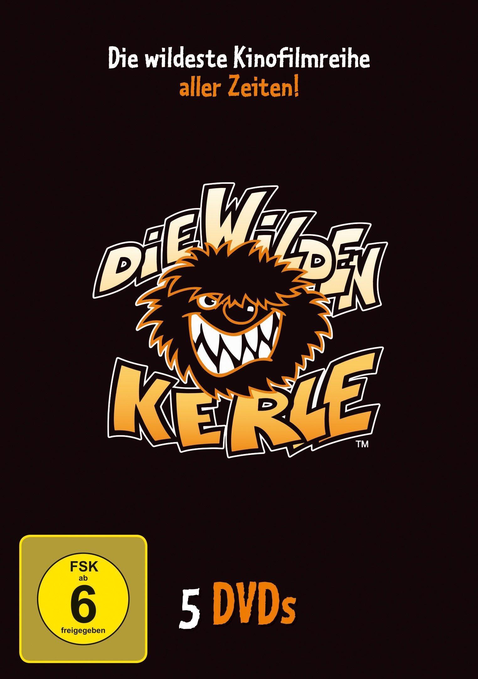 Vorderes Coverbild Die Wilden Kerle 1-5 Sammelbox