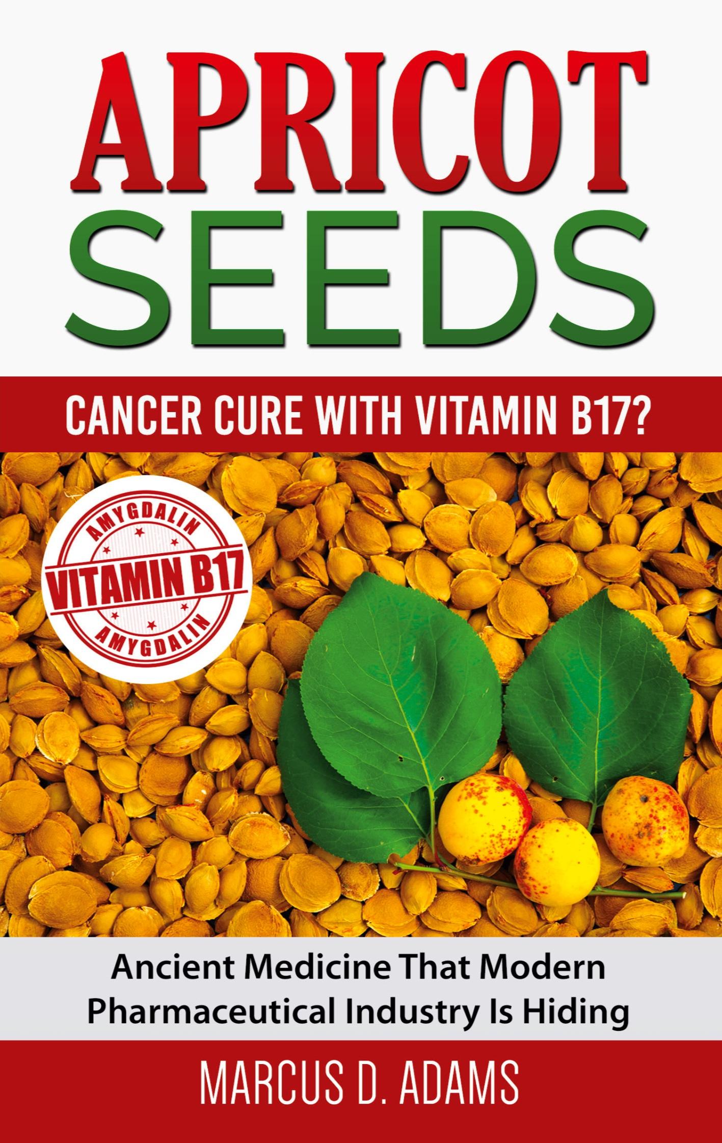 Vorderes Coverbild Apricot Seeds - Cancer Cure with Vitamin B17?
