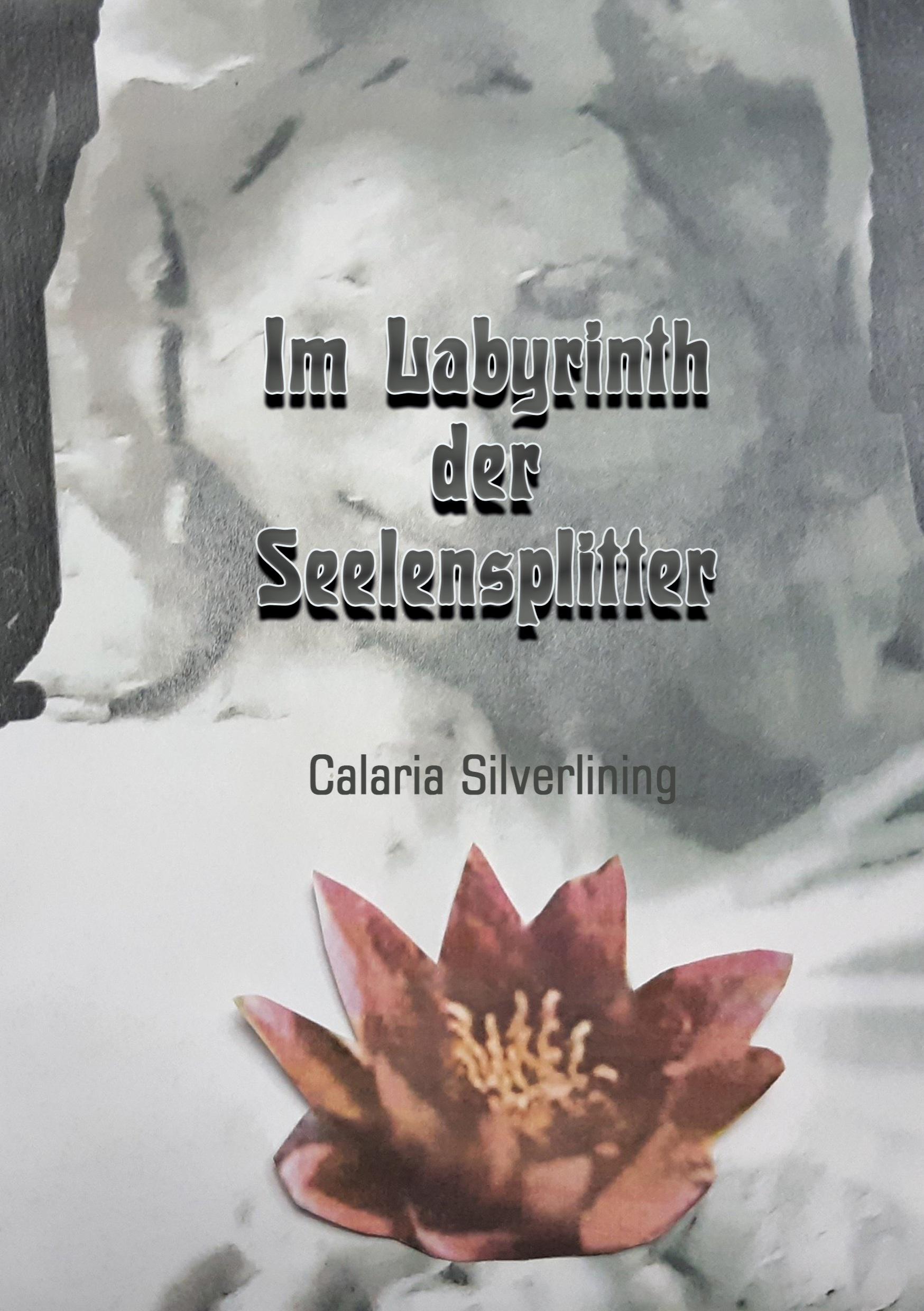 Vorderes Coverbild Im Labyrinth der Seelensplitter
