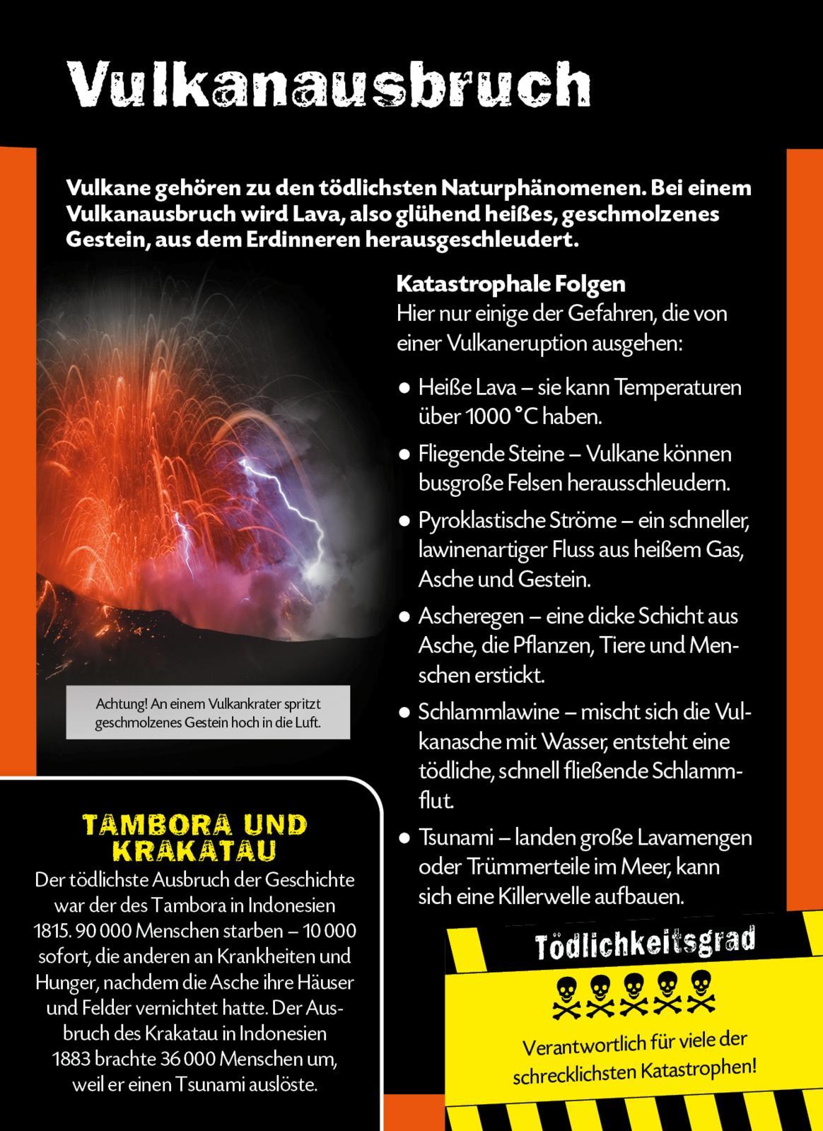 Beispielinhalt (Bild) Die 100 tödlichsten Dinge der Welt