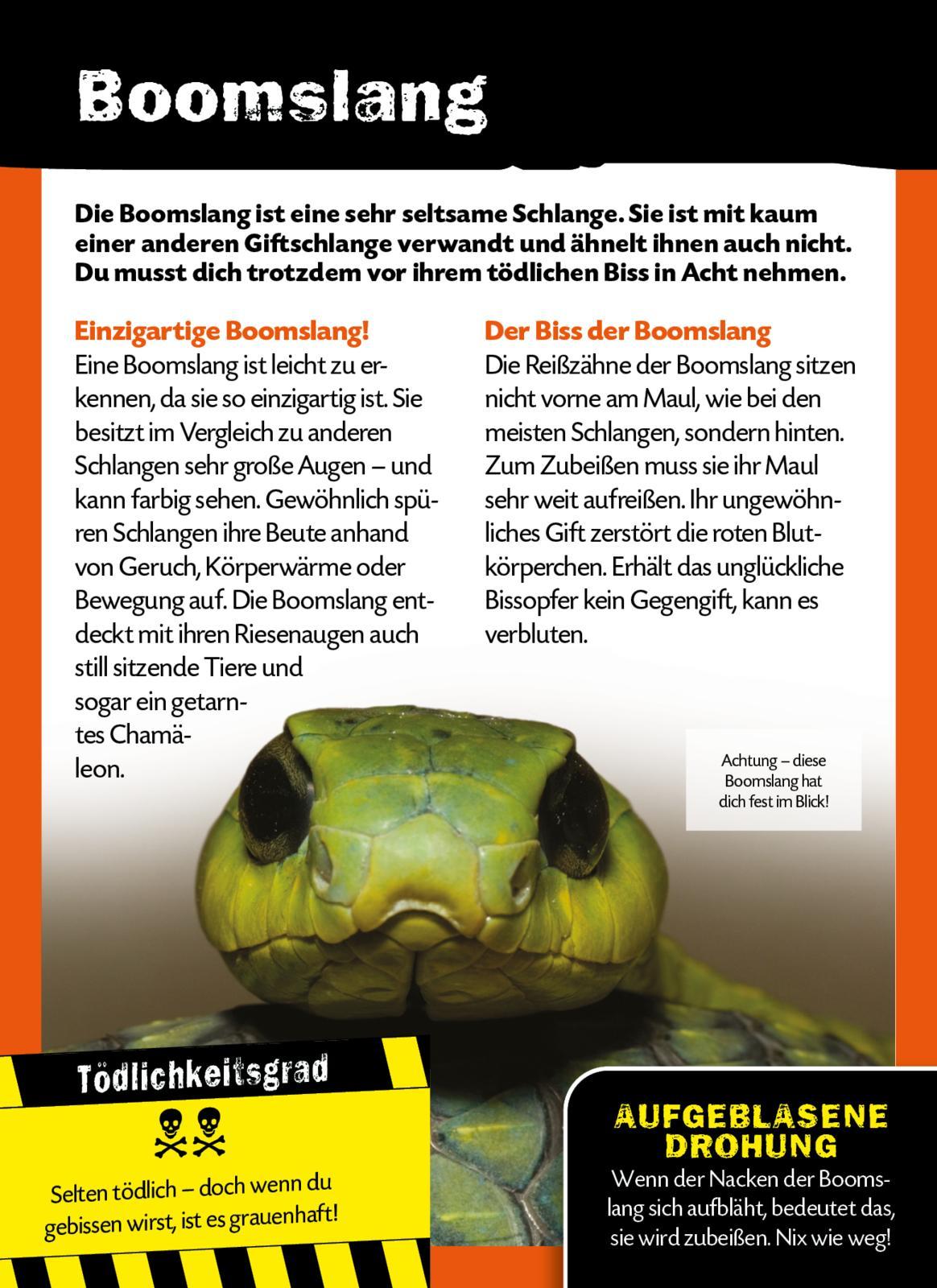 Beispielinhalt (Bild) Die 100 tödlichsten Dinge der Welt