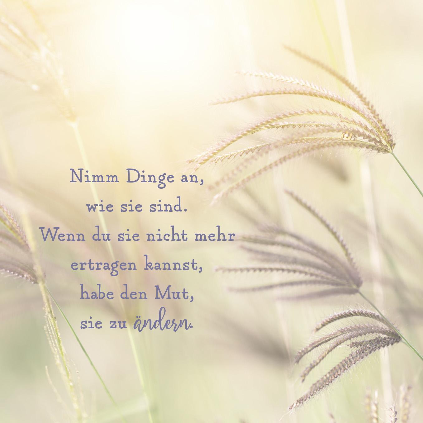 Beispielinhalt (Bild) Ein Schutzengel für dich