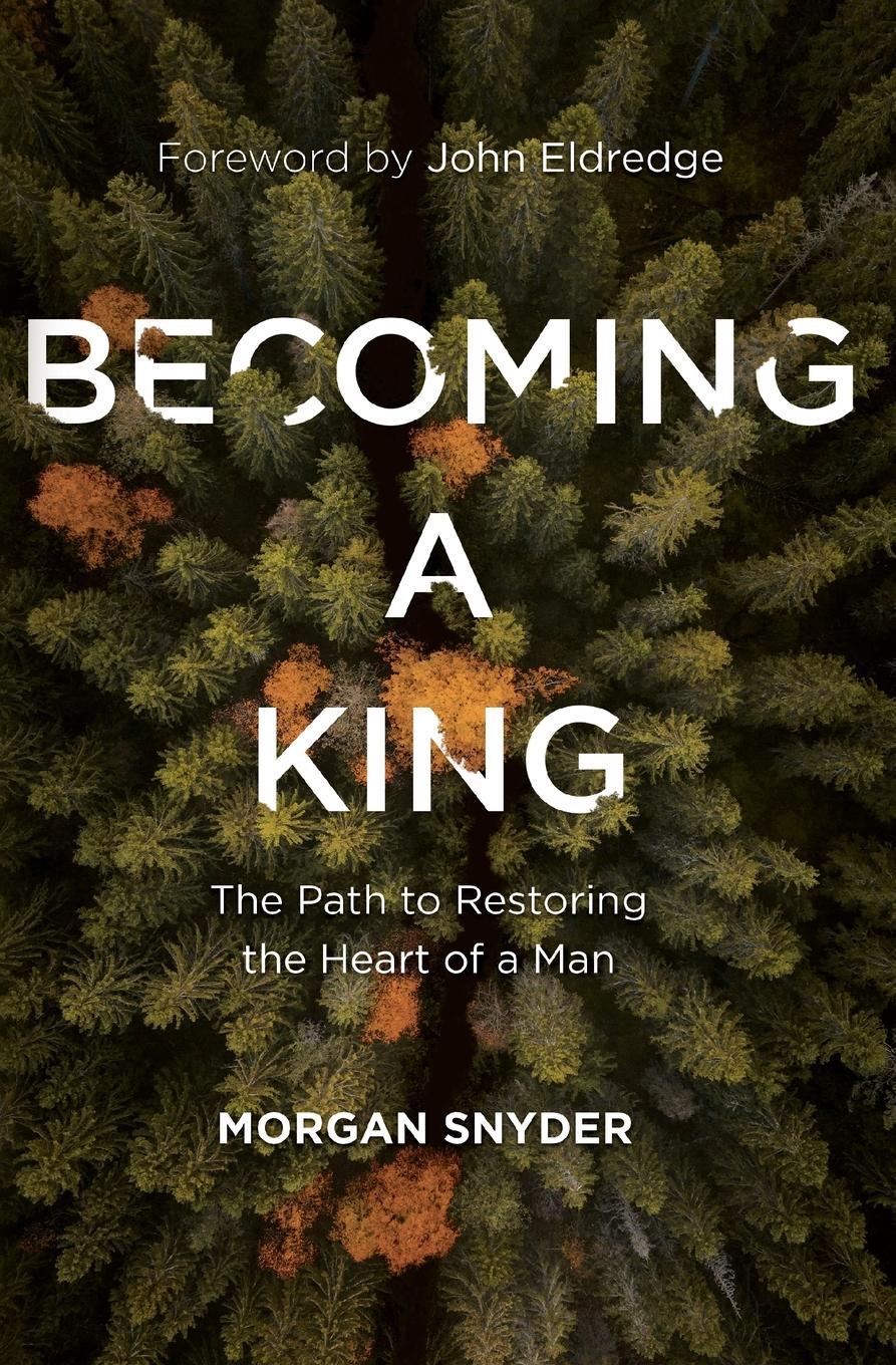 Vorderes Coverbild Becoming a King