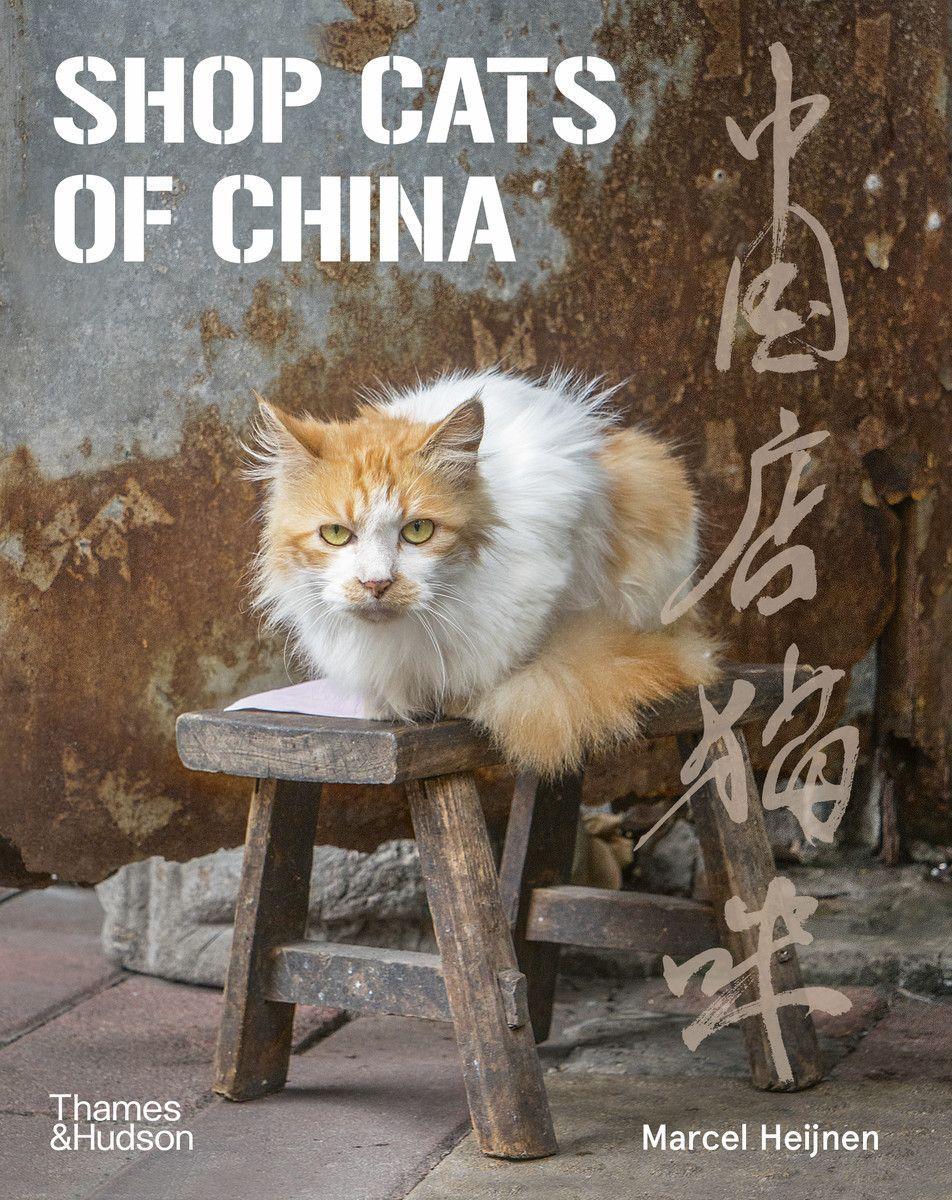 Vorderes Coverbild Shop Cats of China