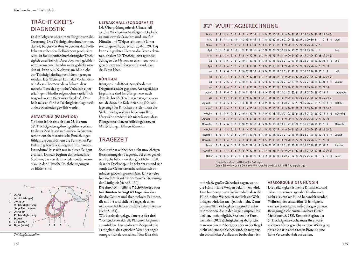 Beispielinhalt (Bild) Hundezucht