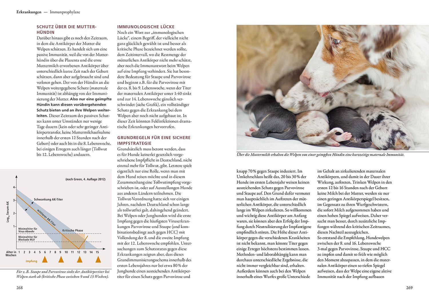 Beispielinhalt (Bild) Hundezucht