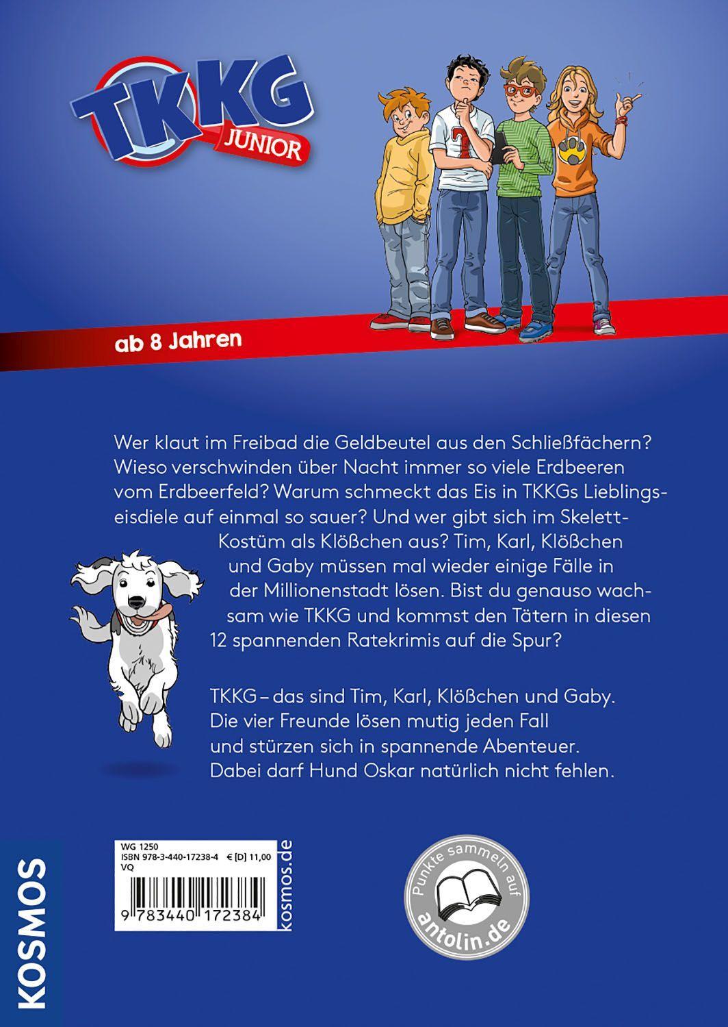 Beispielinhalt (Bild) TKKG Junior, Kein Hitzefrei für Detektive - 12 spannende Ratekrimis