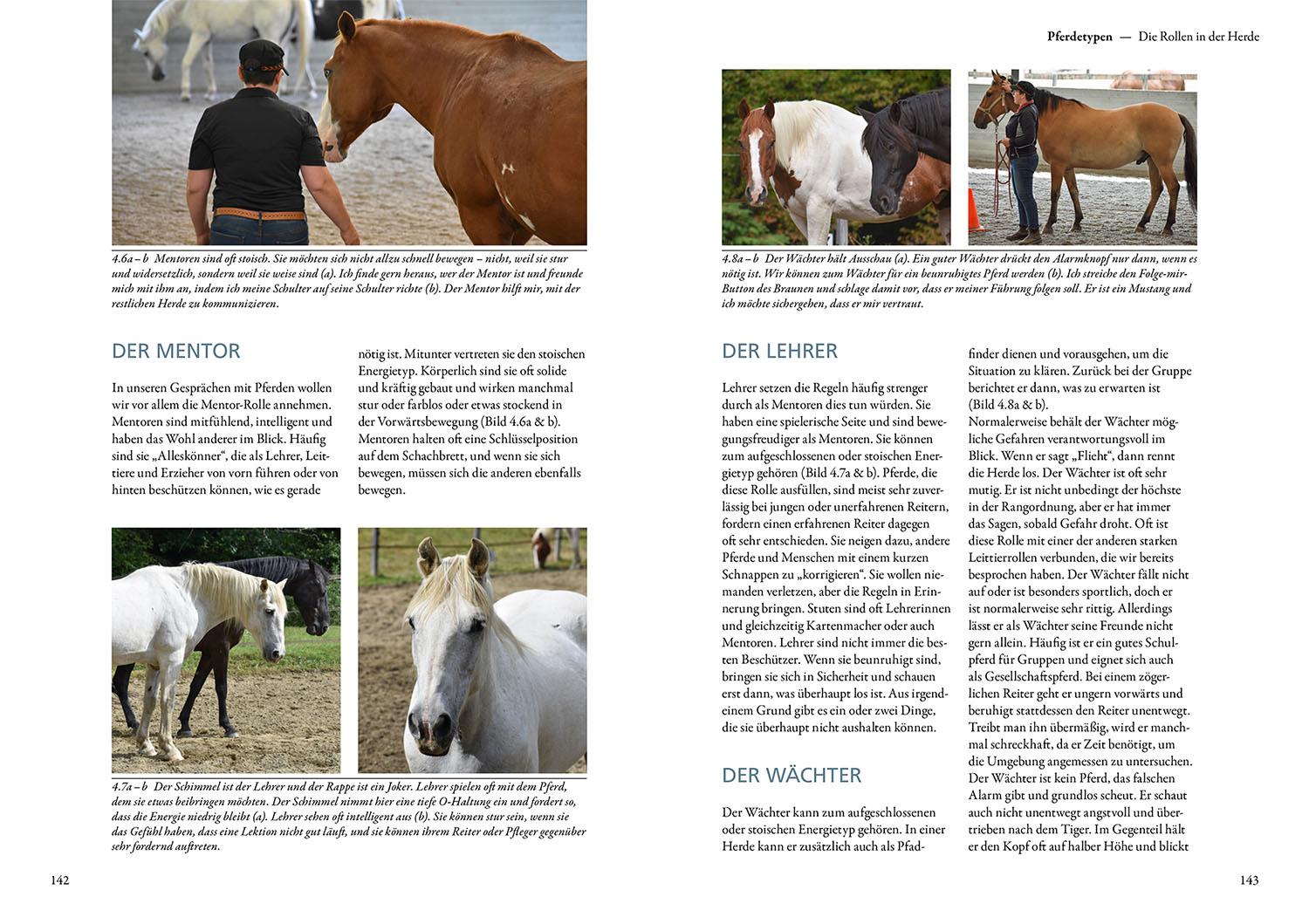 Beispielinhalt (Bild) Sprachkurs Pferd - Das Trainingsbuch