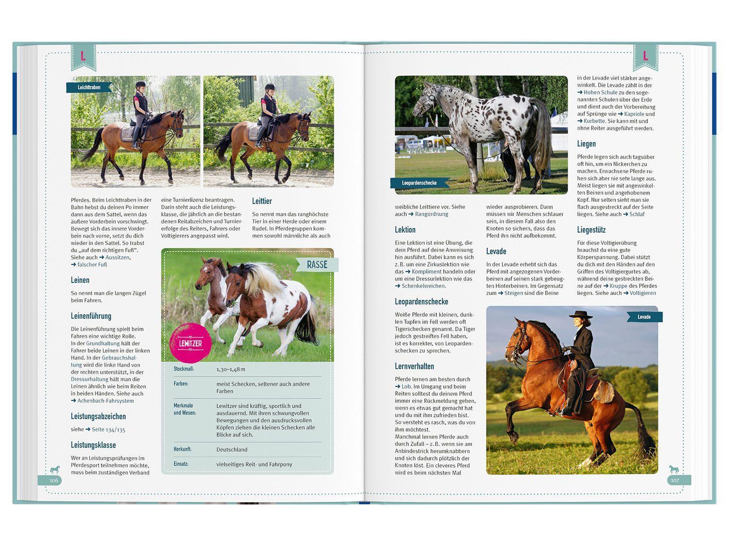 Beispielinhalt (Bild) Das große Kosmos Pferdelexikon