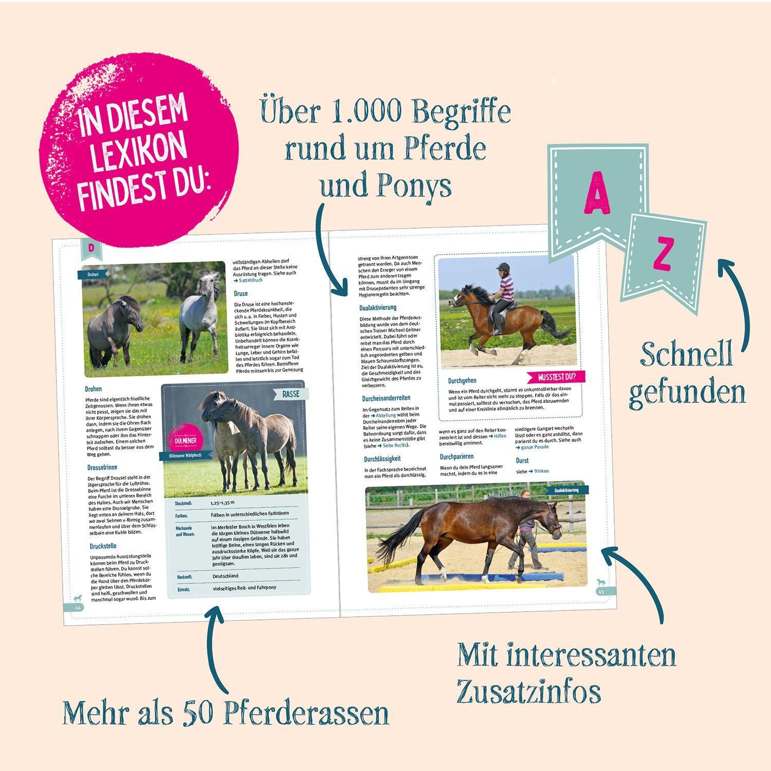 Beispielinhalt (Bild) Das große Kosmos Pferdelexikon