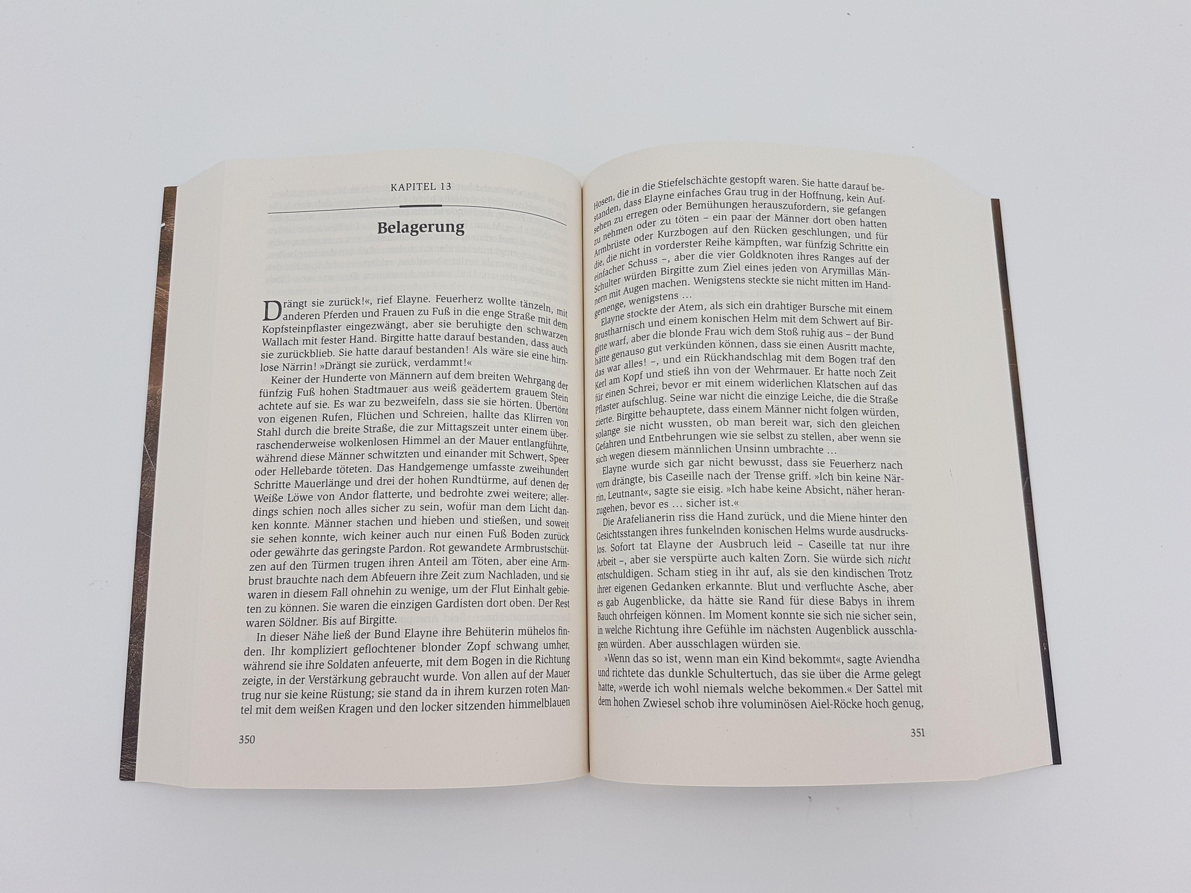 Beispielinhalt (Bild) Das Rad der Zeit 11