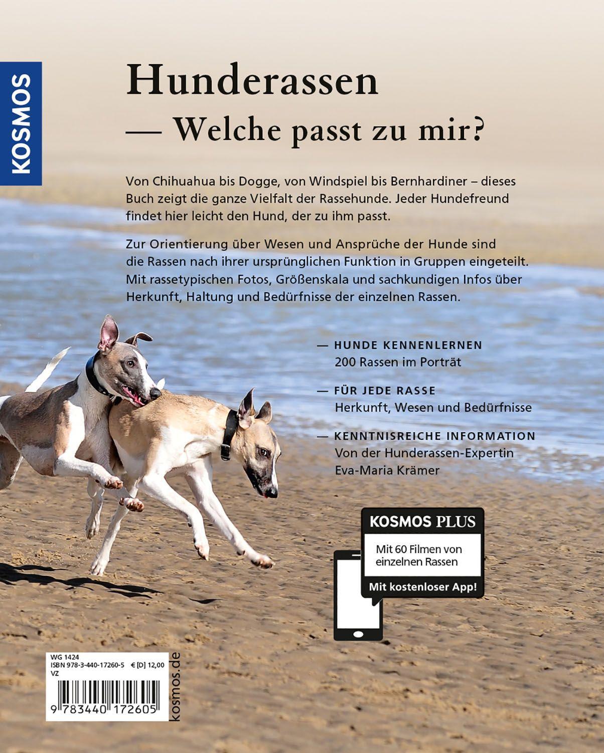 Beispielinhalt (Bild) Hunderassen