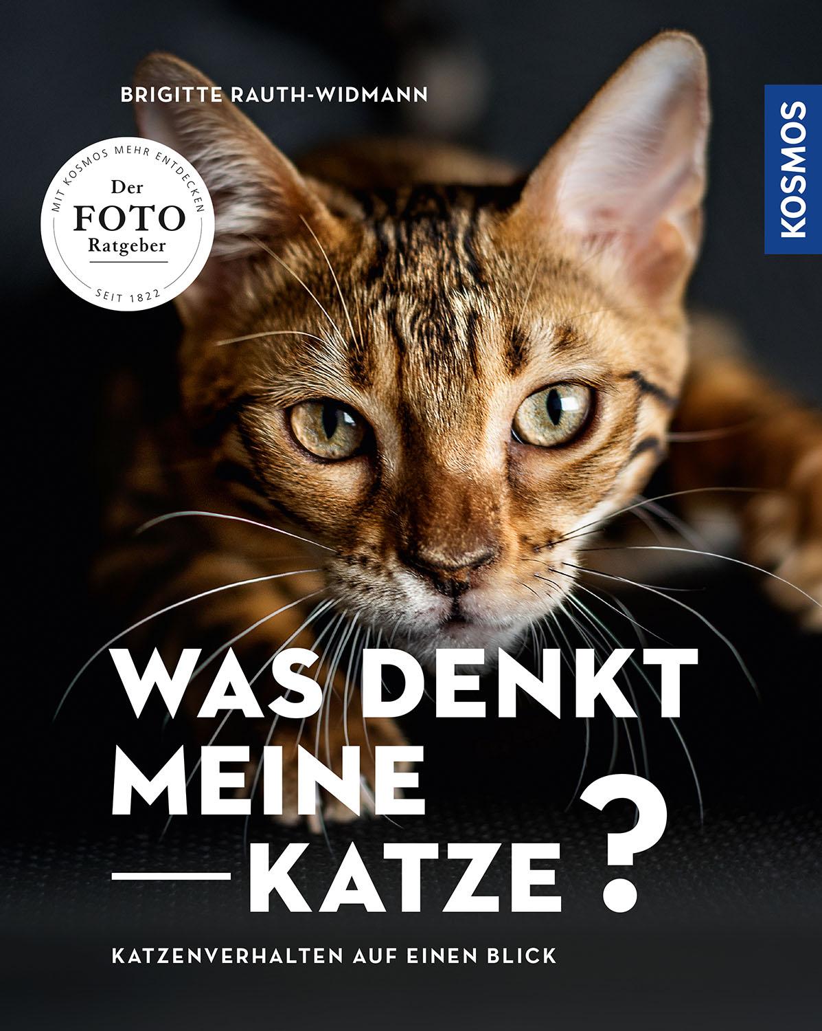 Vorderes Coverbild Was denkt meine Katze