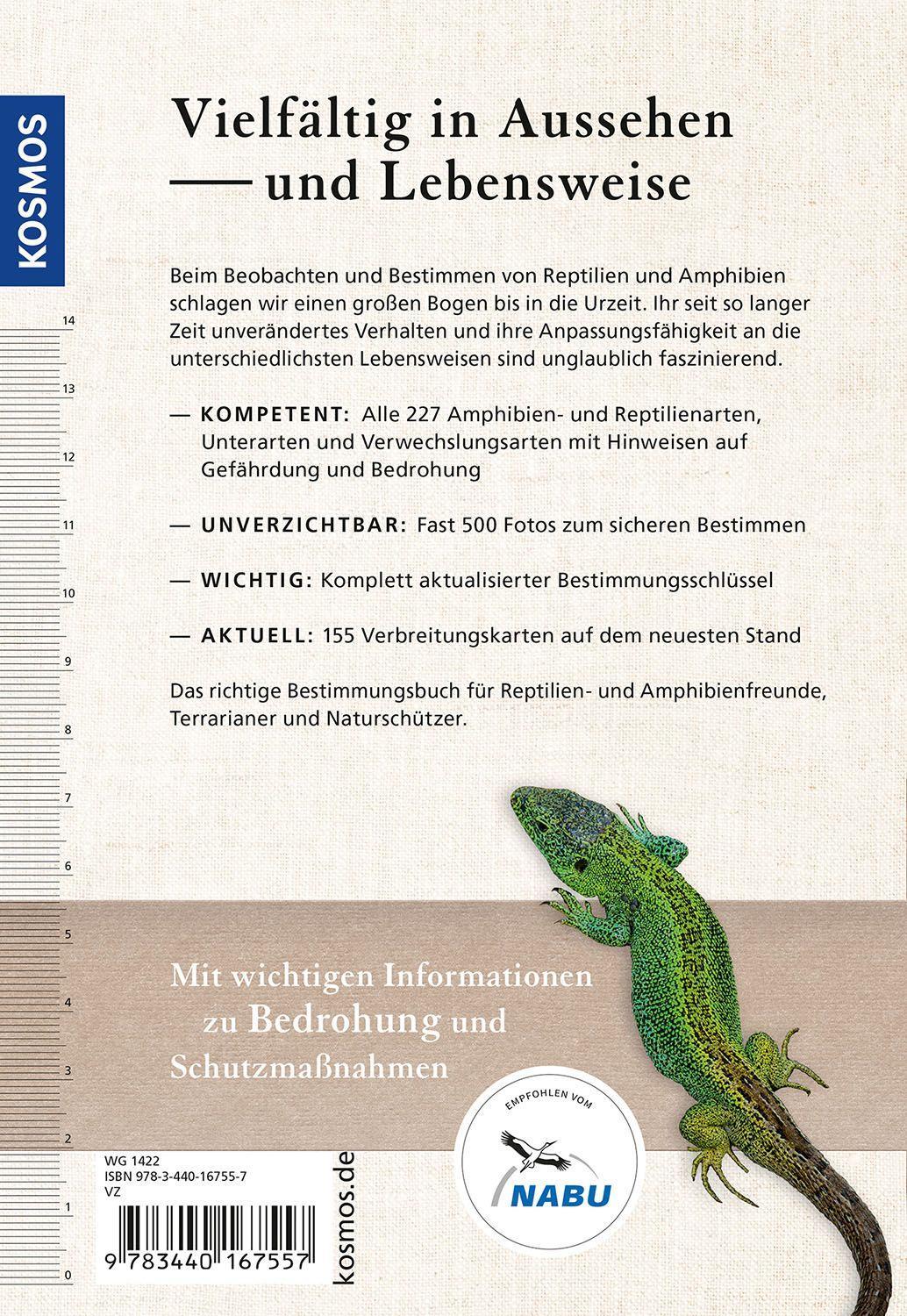 Beispielinhalt (Bild) Reptilien und Amphibien Europas