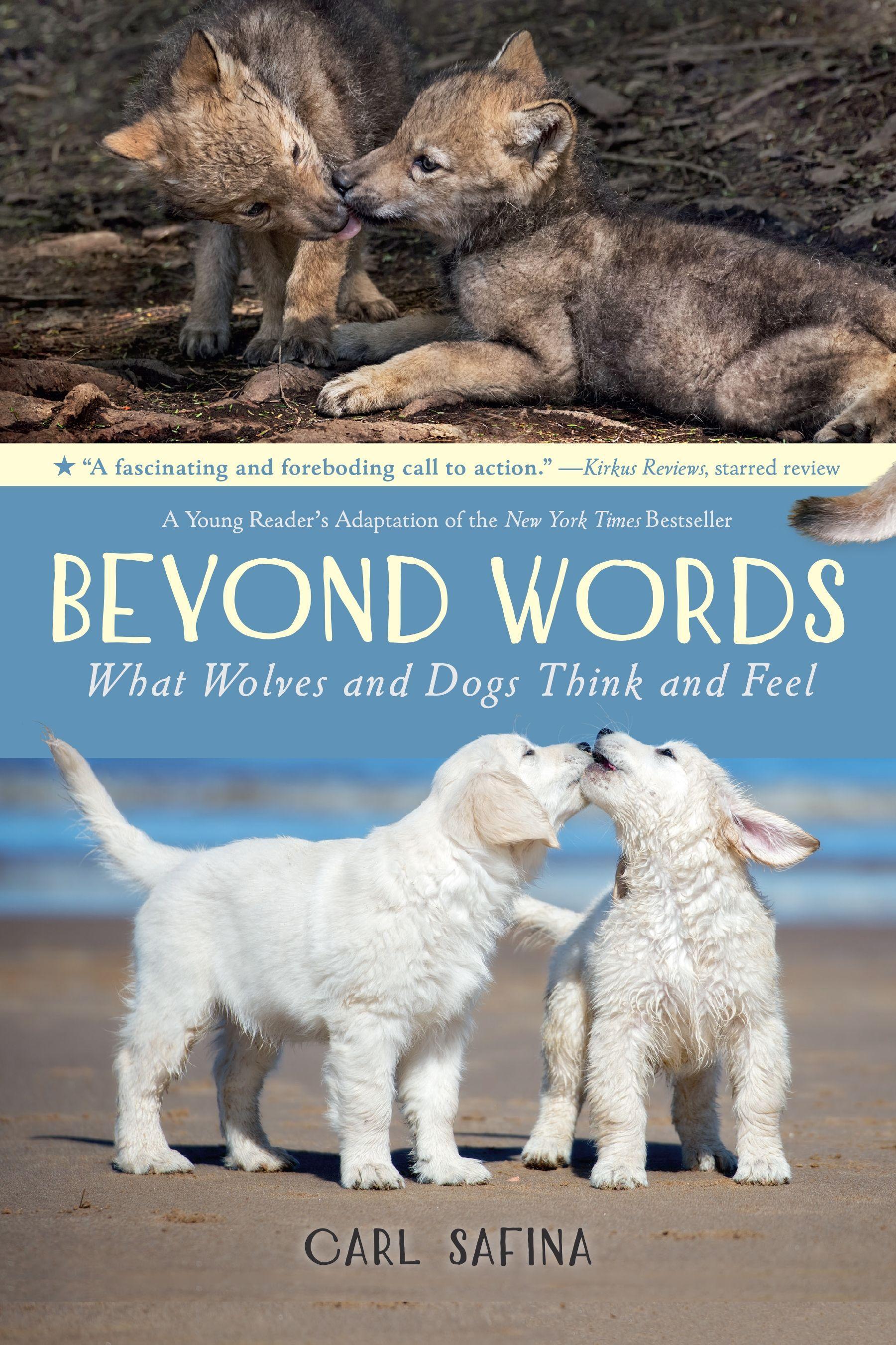 Vorderes Coverbild Beyond Words: What Wolves and Dogs Think and Feel (a Young Reader's Adaptation)