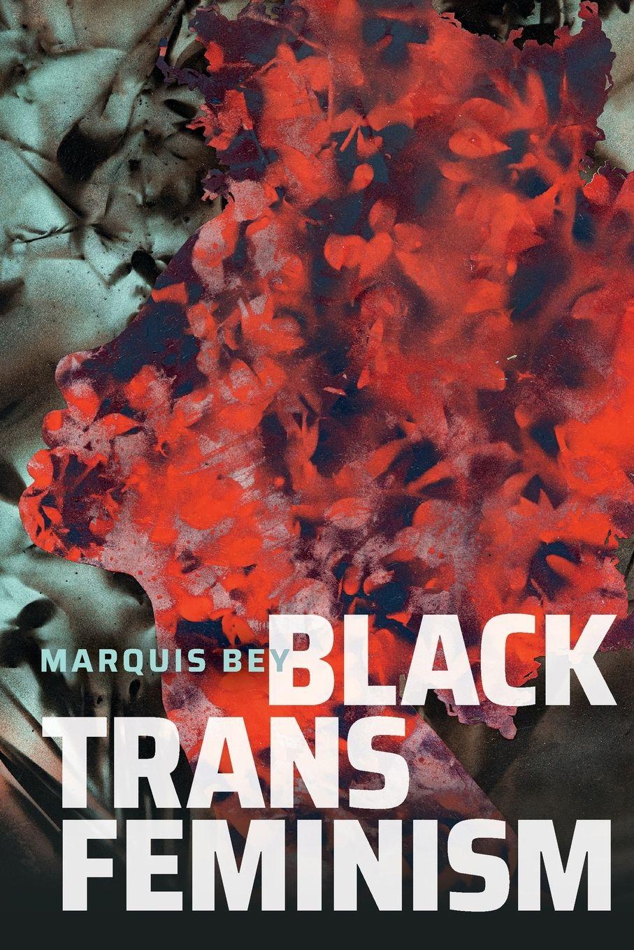 Vorderes Coverbild Black Trans Feminism
