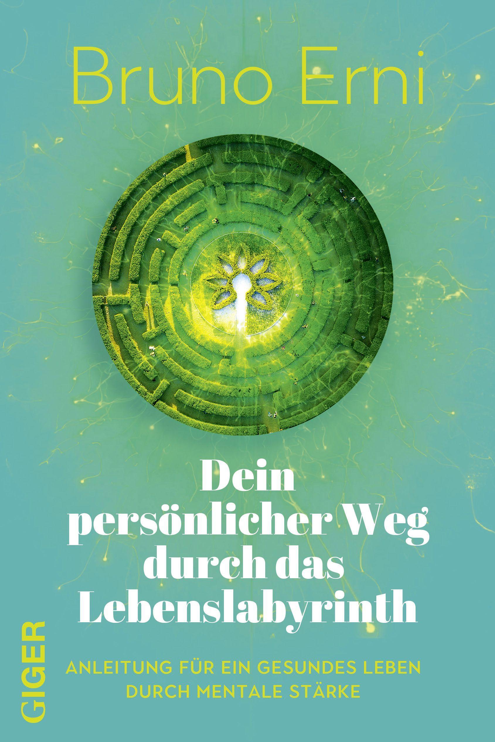 Vorderes Coverbild Dein persönlicher Weg durch das Lebenslabyrinth