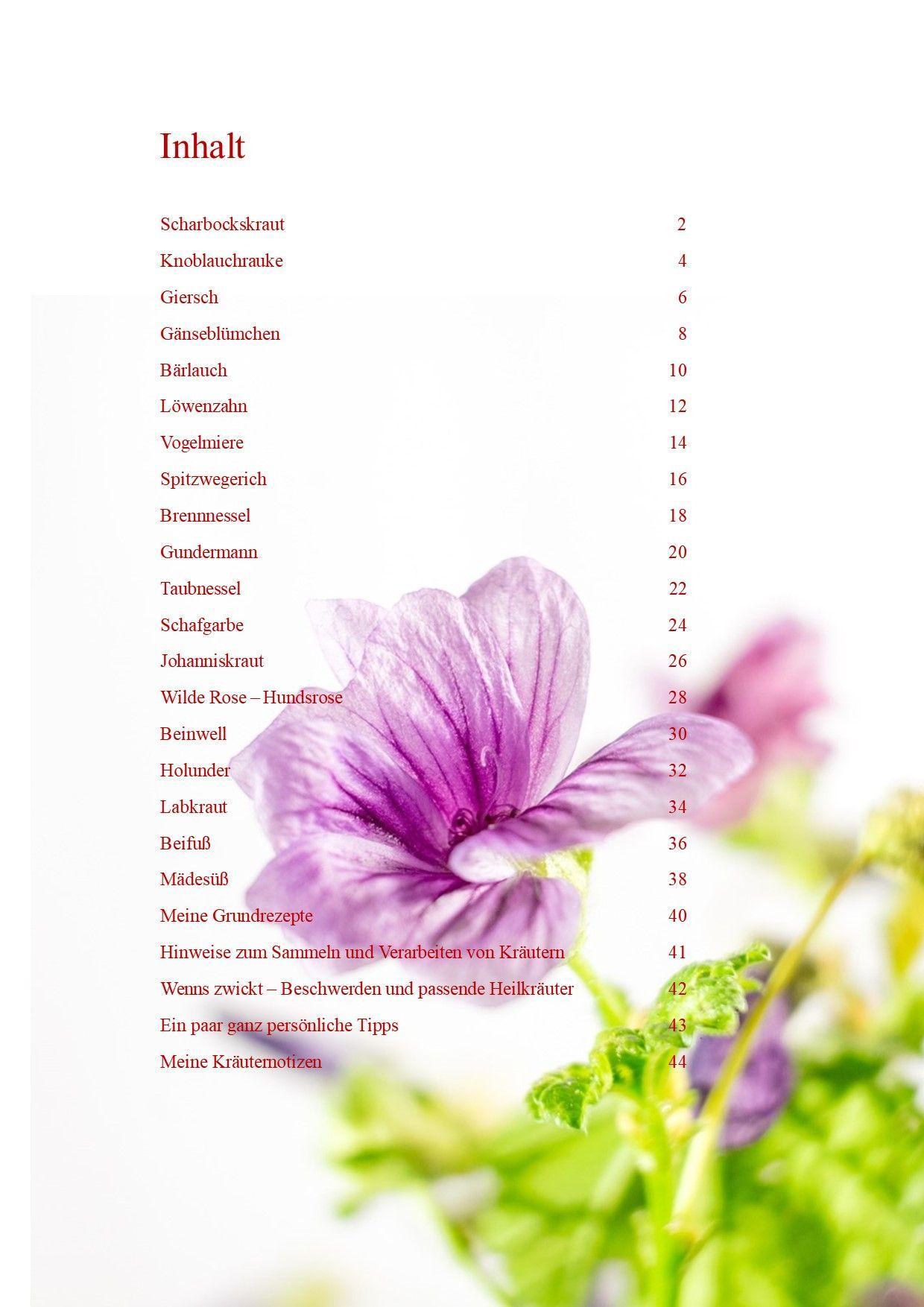 Beispielinhalt (Bild) Meine Kräuter-Schatzkiste
