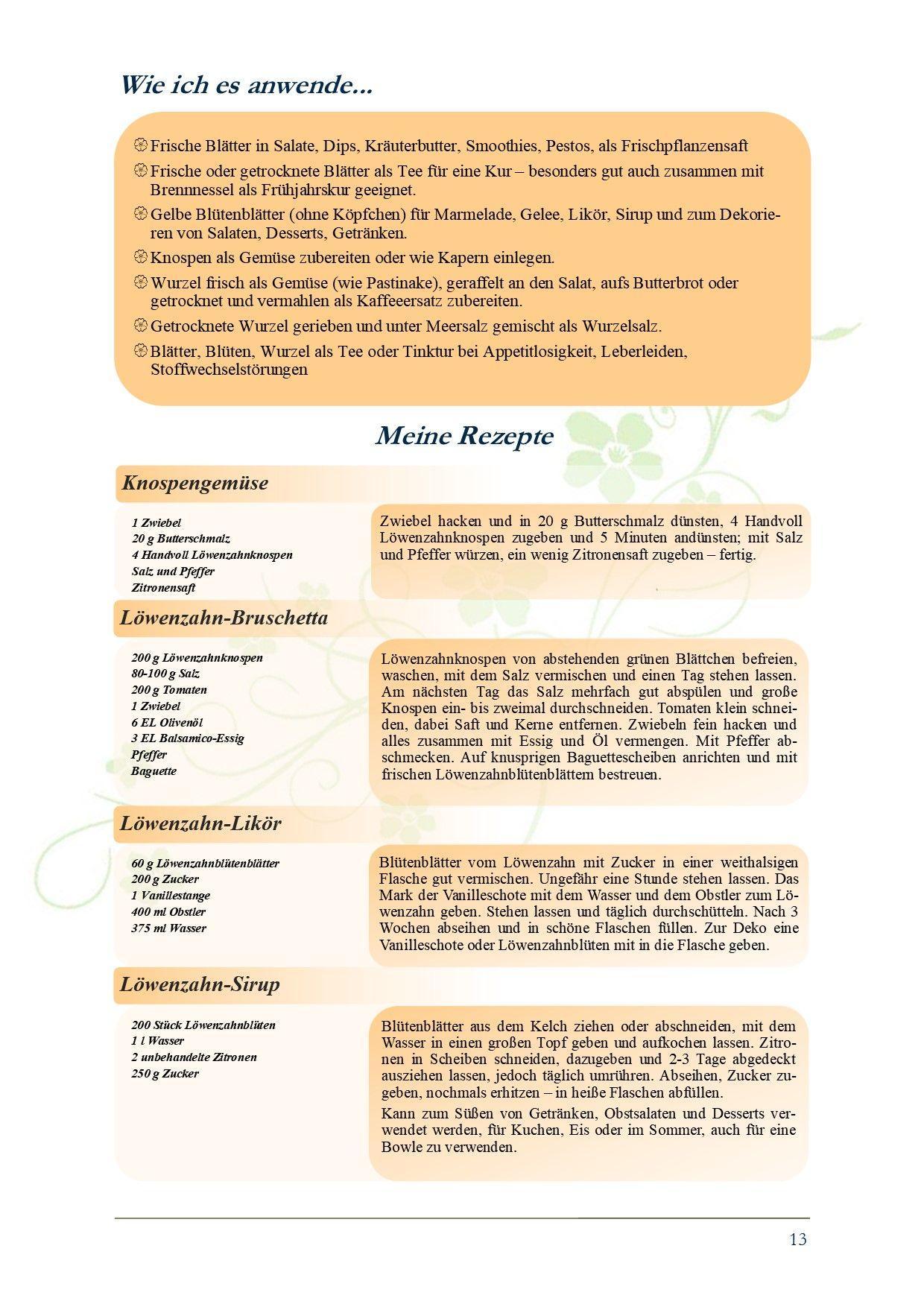 Beispielinhalt (Bild) Meine Kräuter-Schatzkiste