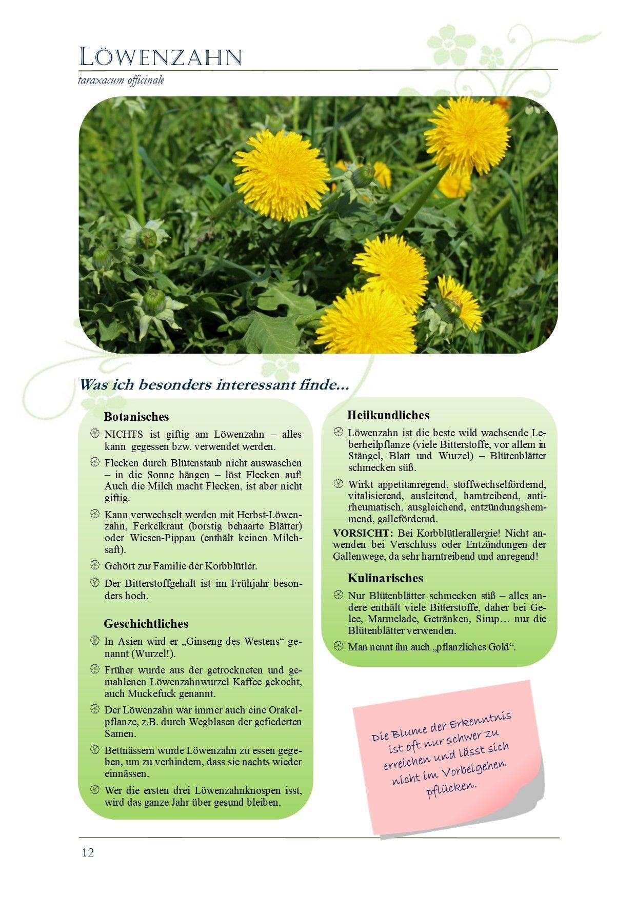 Beispielinhalt (Bild) Meine Kräuter-Schatzkiste