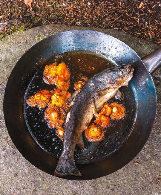 Beispielinhalt (Bild) Koch draußen! Über 100 Rezepte für jedes Wetter