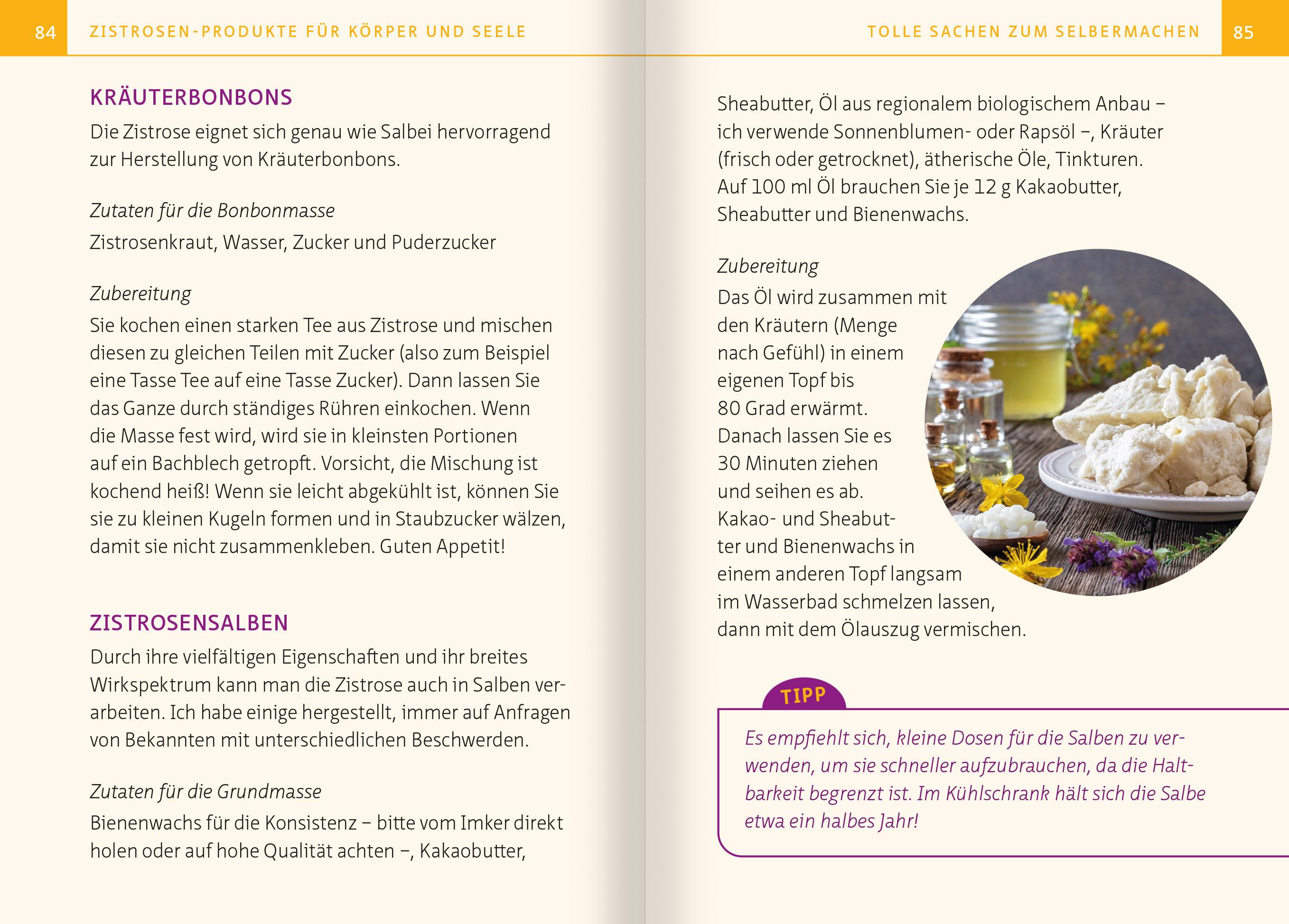 Beispielinhalt (Bild) Zistrose. Kompakt-Ratgeber