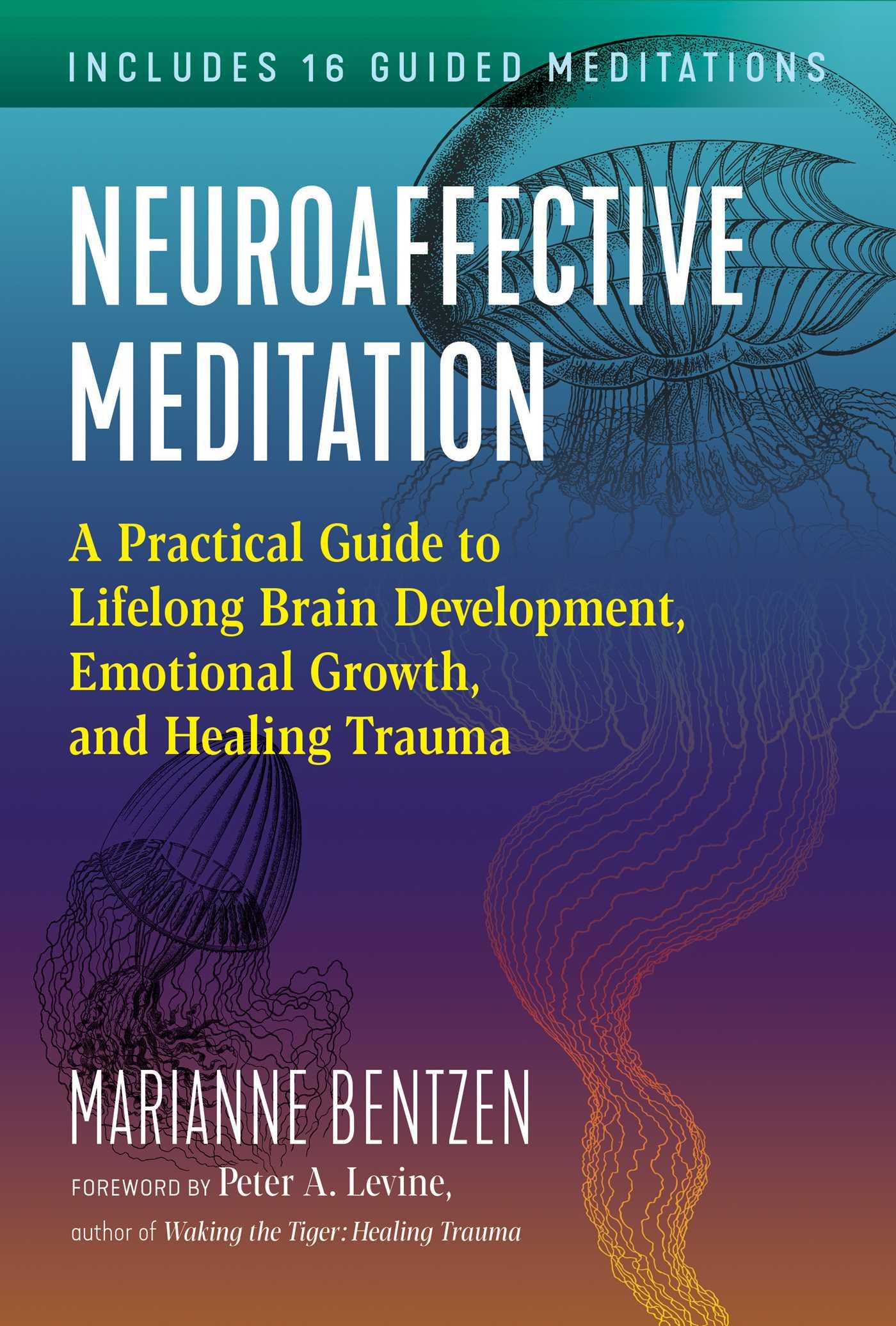 Vorderes Coverbild Neuroaffective Meditation