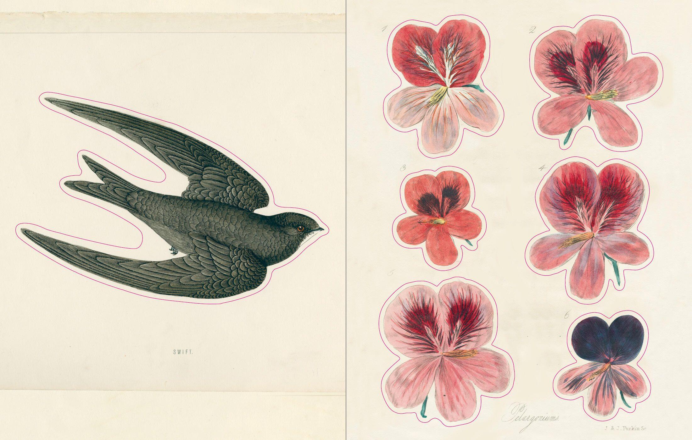 Beispielinhalt (Bild) John Derian Sticker Book