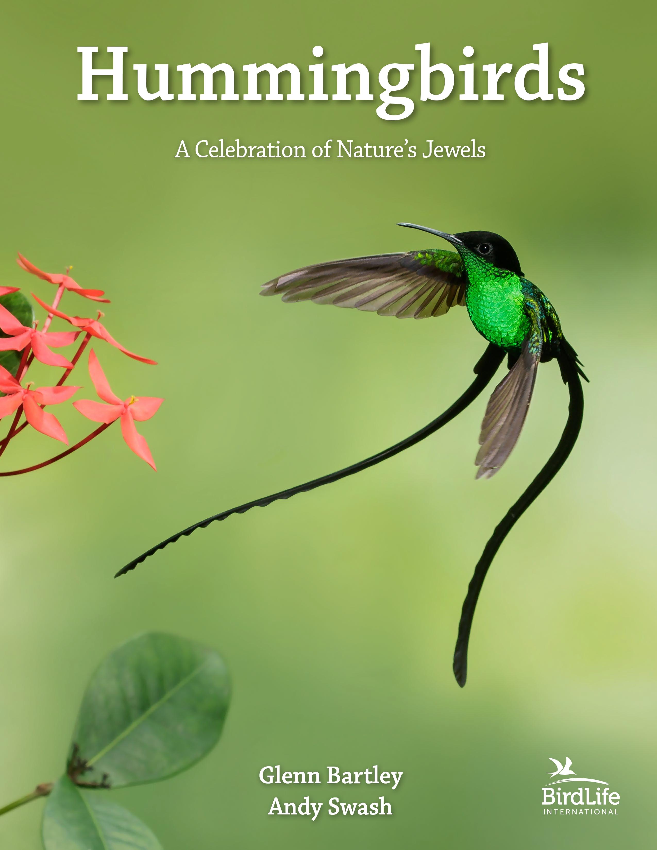 Vorderes Coverbild Hummingbirds
