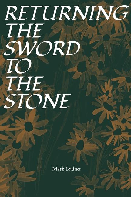 Vorderes Coverbild Returning the Sword to the Stone