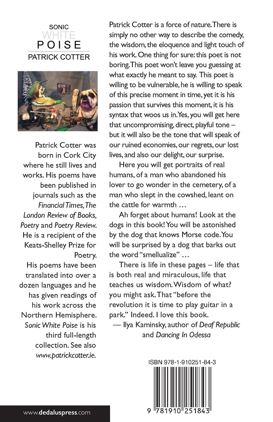 Rückseitencover Sonic White Poise