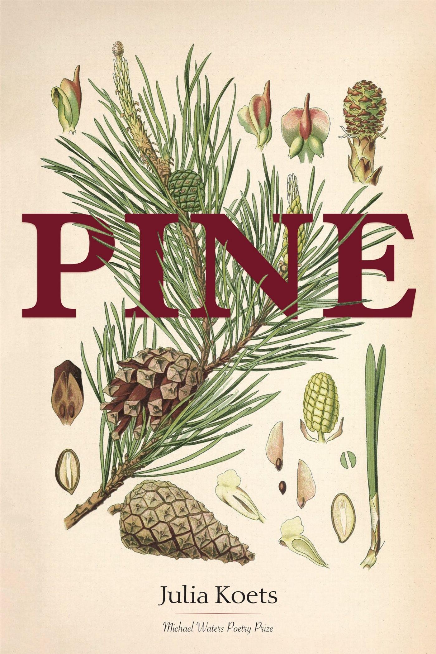 Vorderes Coverbild Pine