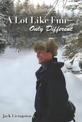 Vorderes Coverbild A Lot Like Fun - Only Different