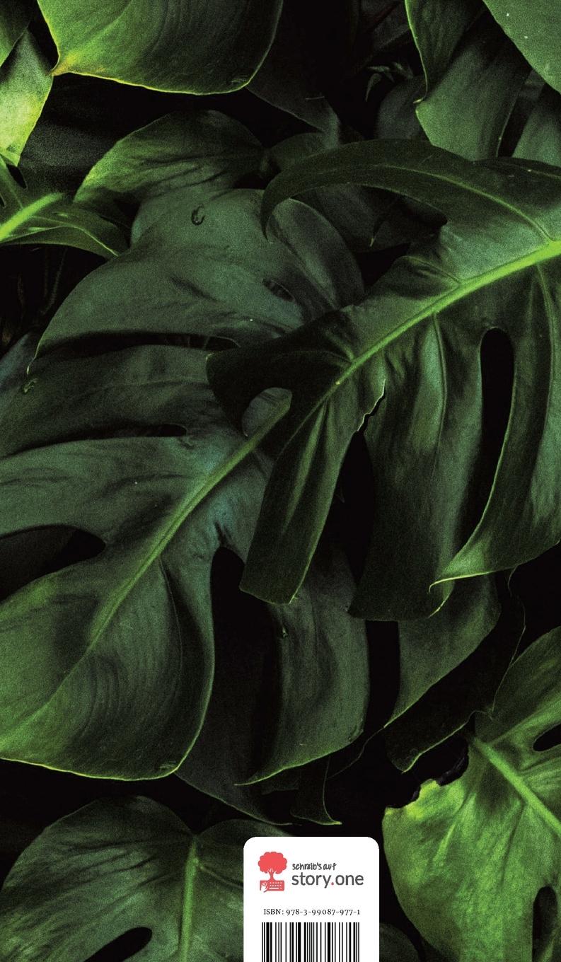 Rückseitencover Kurzgeschichten Ratatouille. Life is a Story - story.one