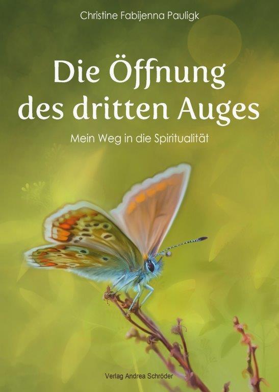 Vorderes Coverbild Die Öffnung des dritten Auges