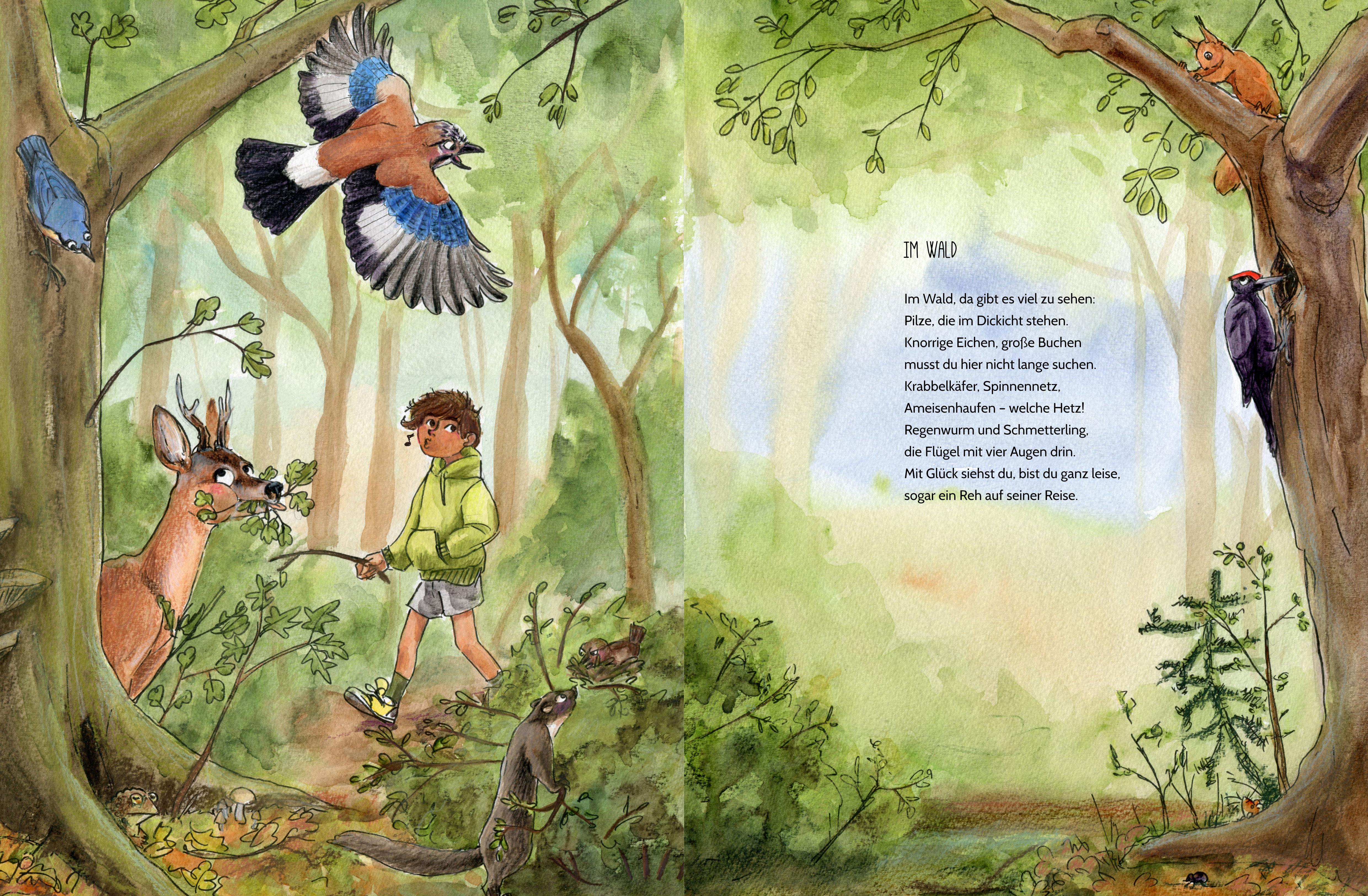 Beispielinhalt (Bild) Erlebe den Wald mit allen Sinnen