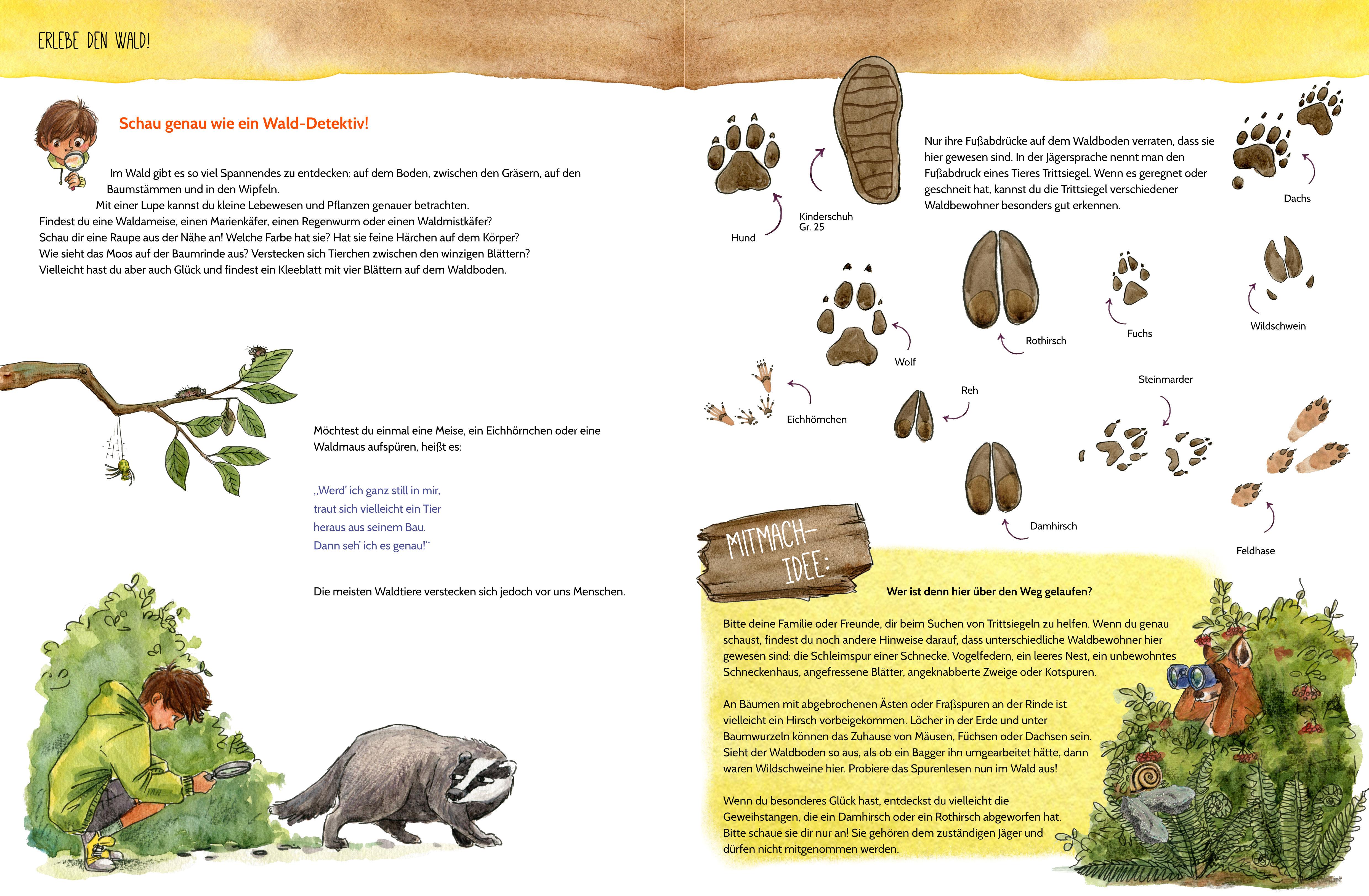 Beispielinhalt (Bild) Erlebe den Wald mit allen Sinnen