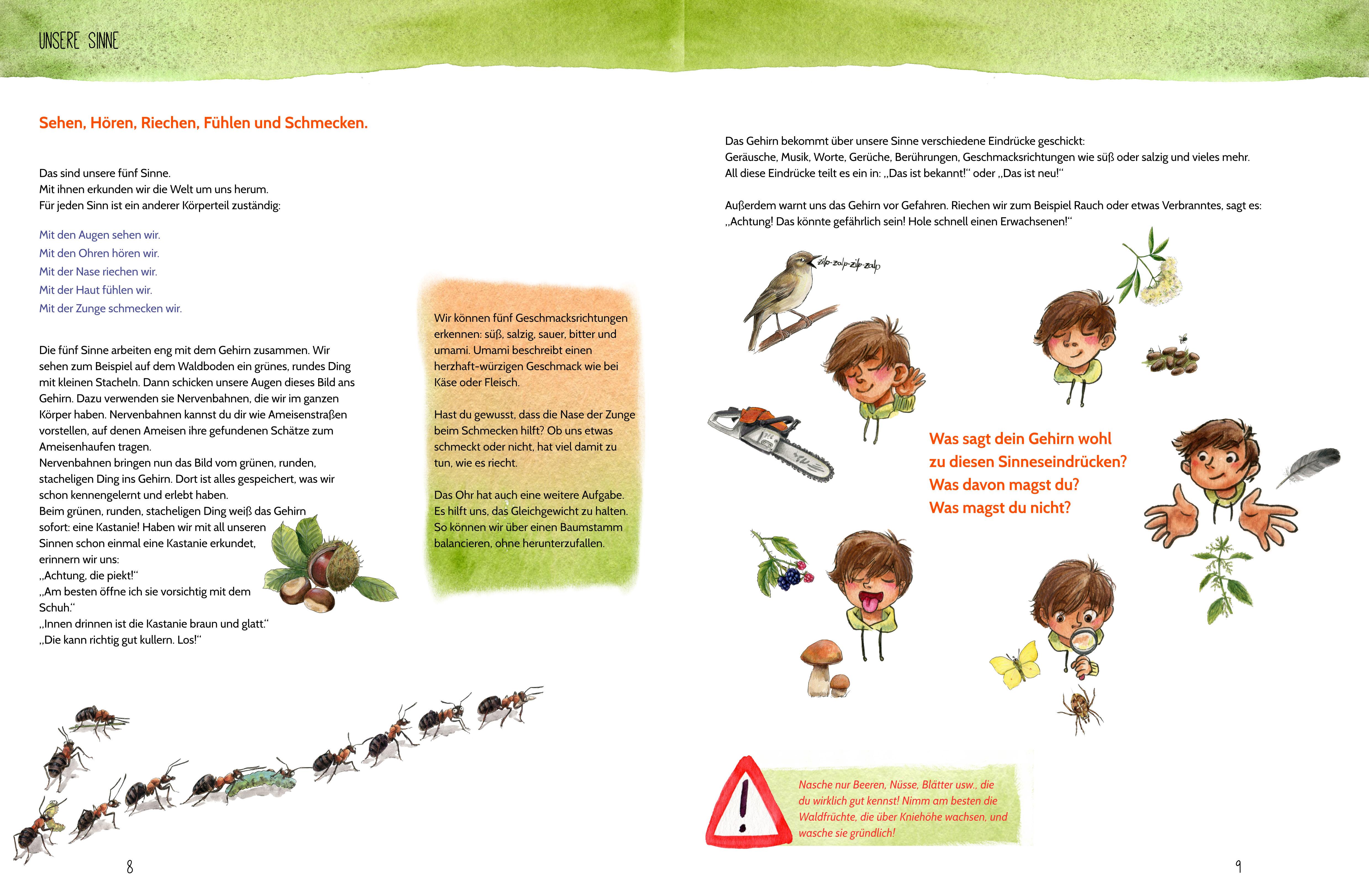 Beispielinhalt (Bild) Erlebe den Wald mit allen Sinnen