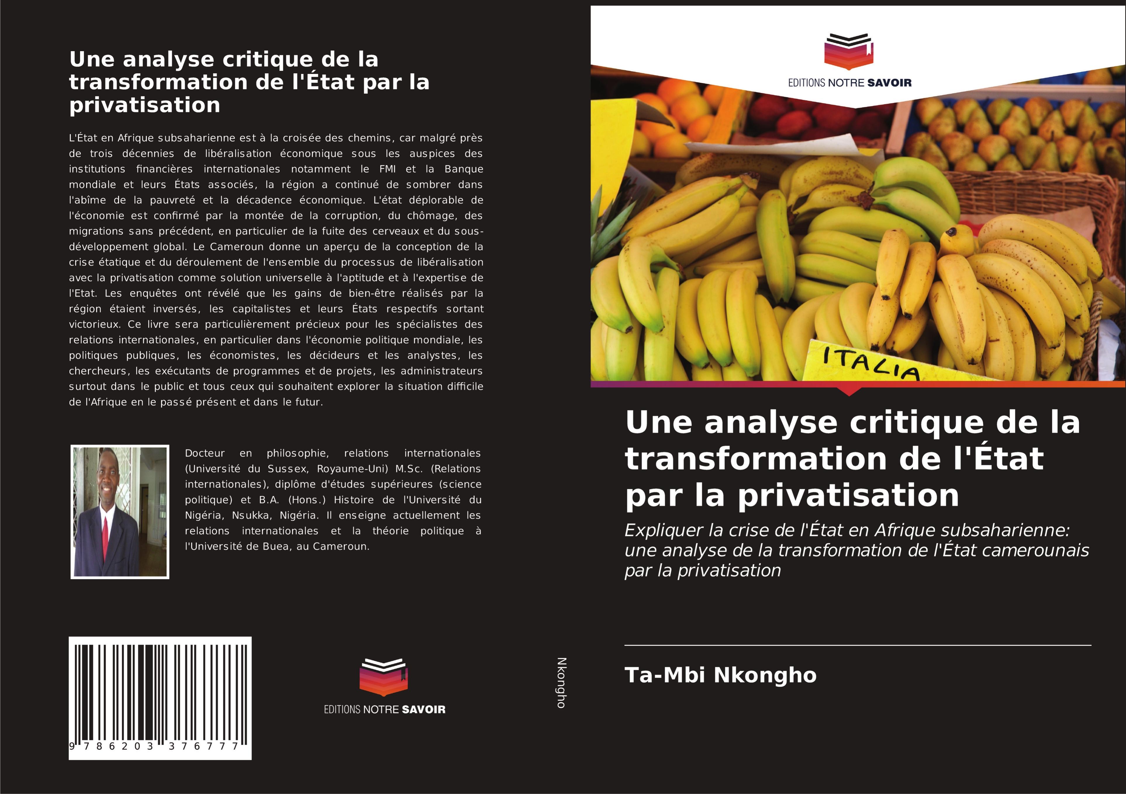 Vorderes Coverbild Une analyse critique de la transformation de l'État par la privatisation