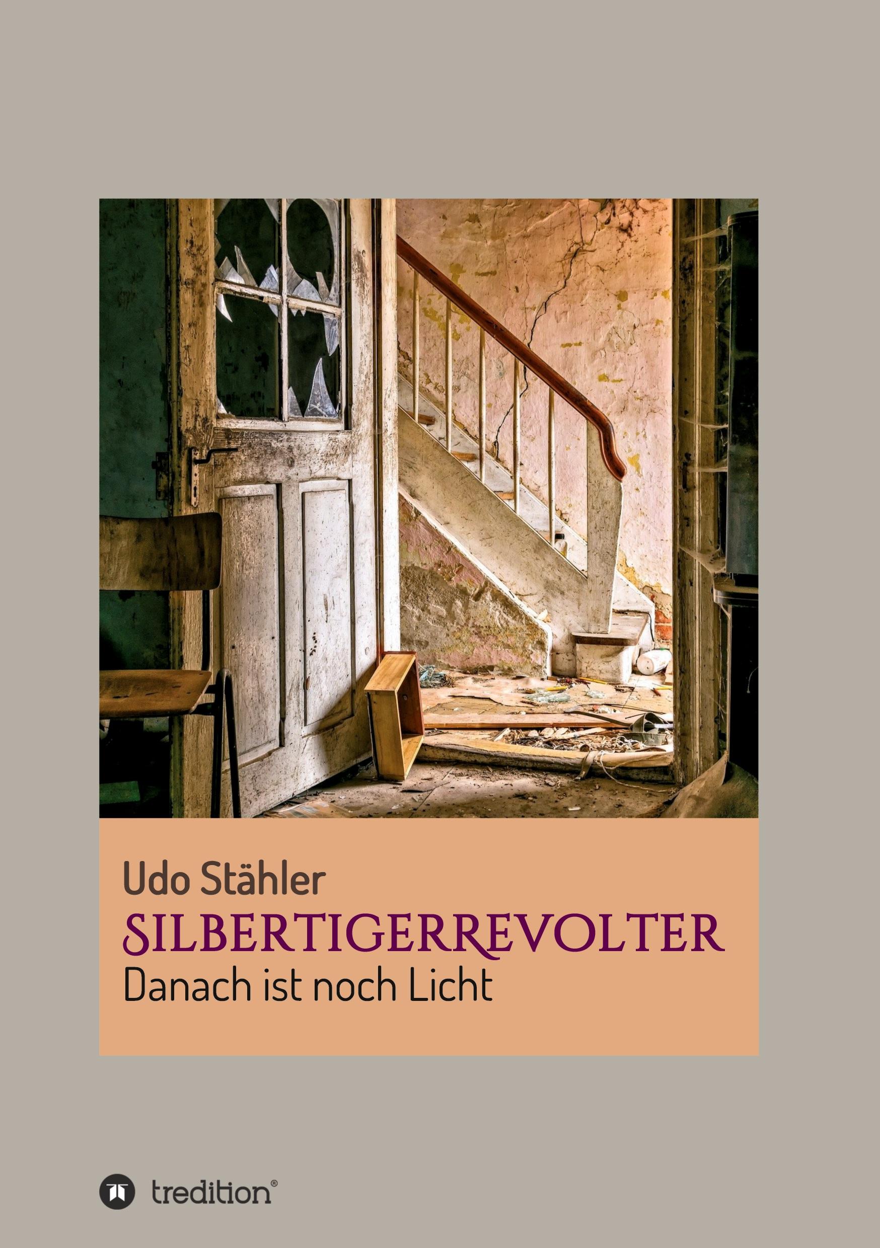 Vorderes Coverbild SilbertigerRevolter