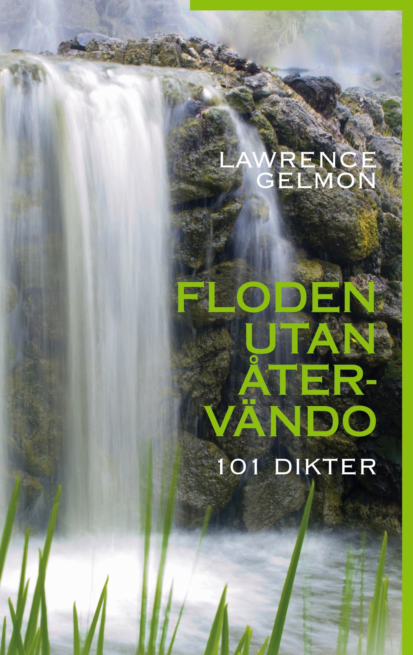Vorderes Coverbild Floden utan återvändo
