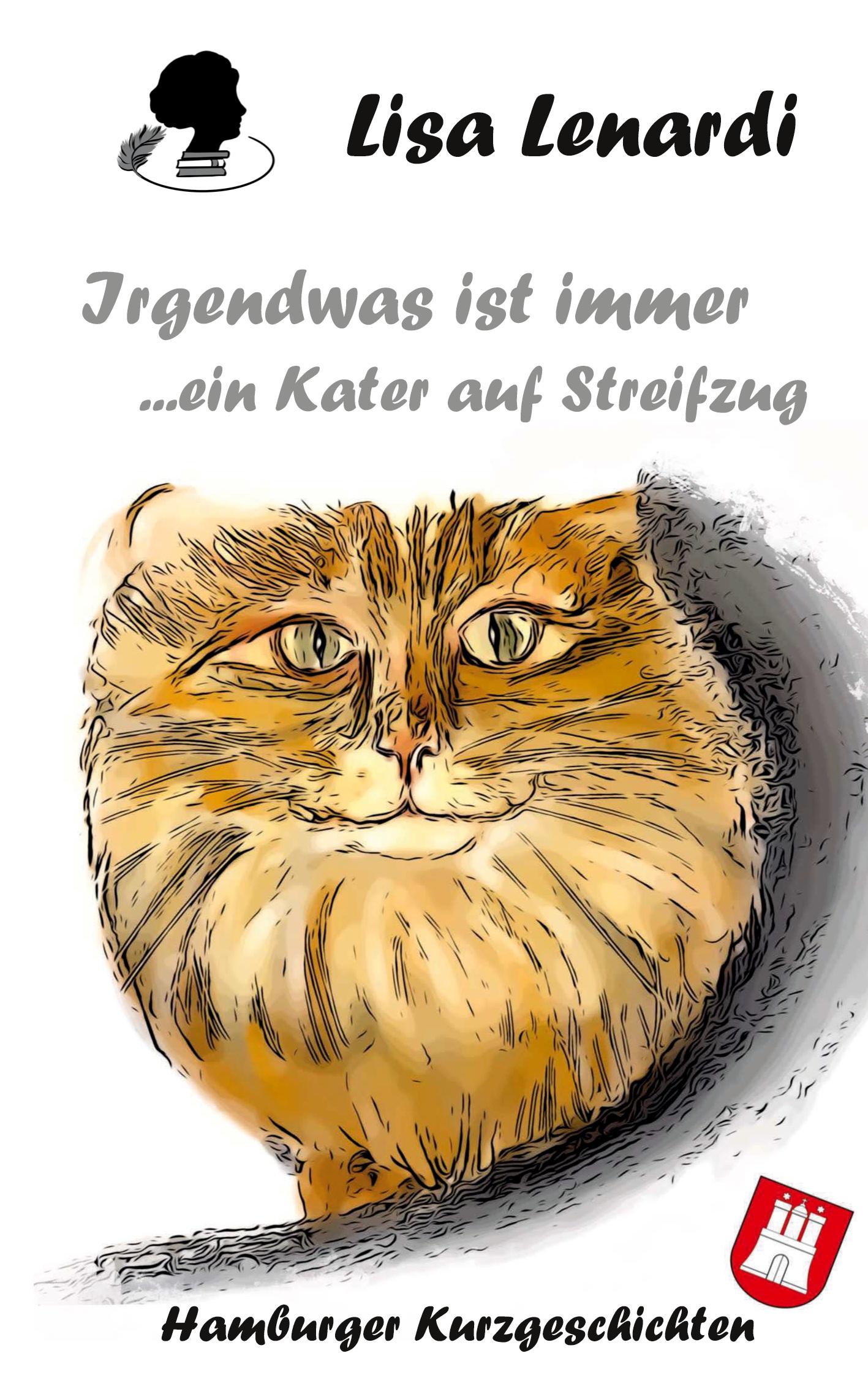 Vorderes Coverbild Irgendwas ist immer ...ein Kater auf Streifzug