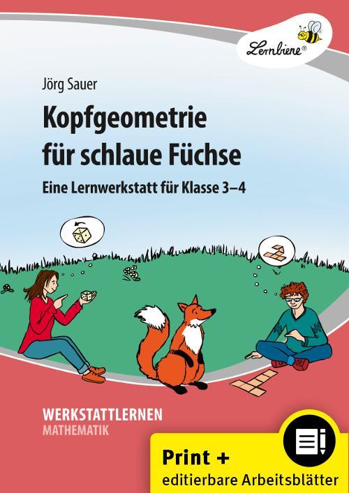 Vorderes Coverbild Kopfgeometrie für schlaue Füchse